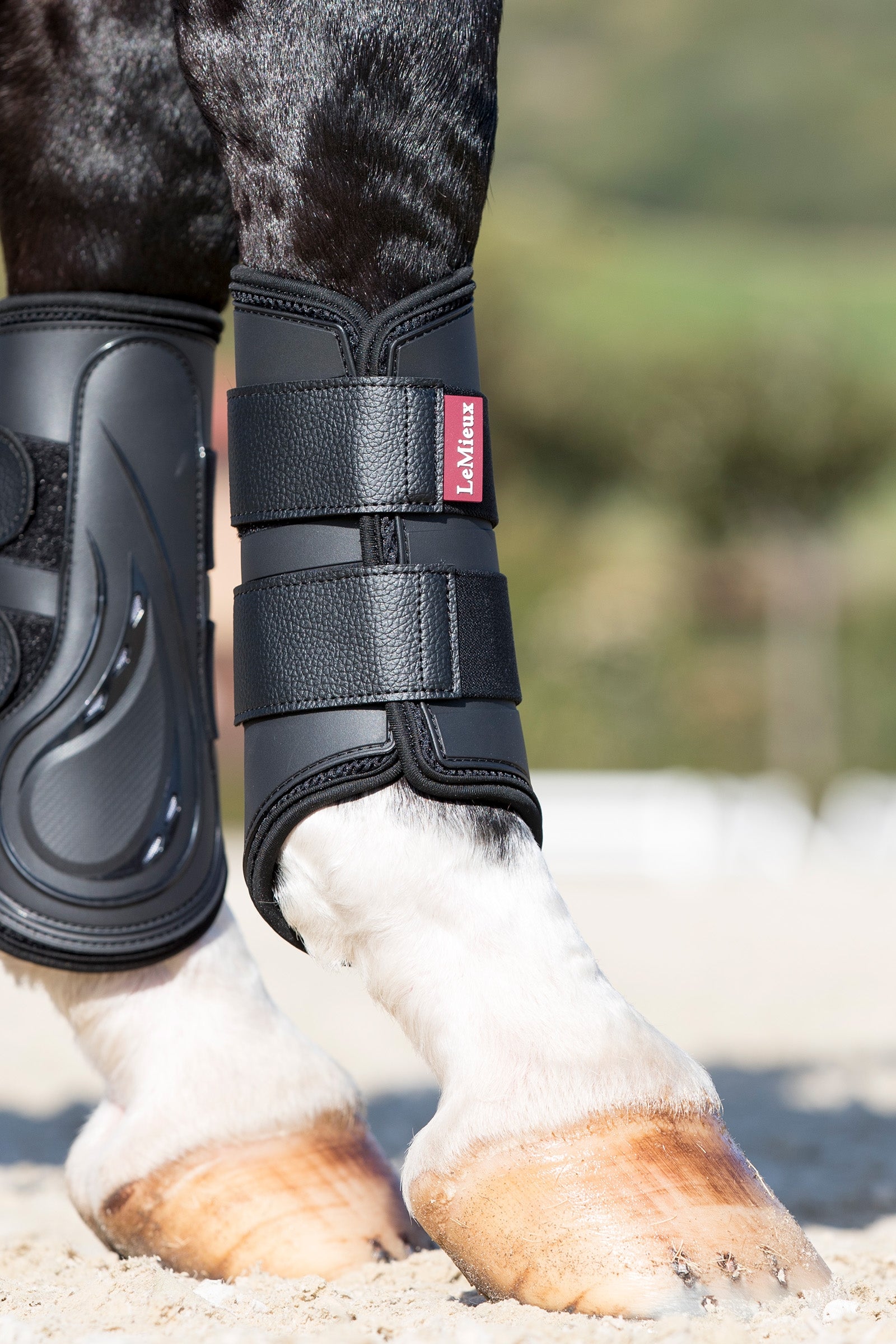 LeMieux ProShell Brushing Boots Leg Protection & Hoof Protection for Horses
