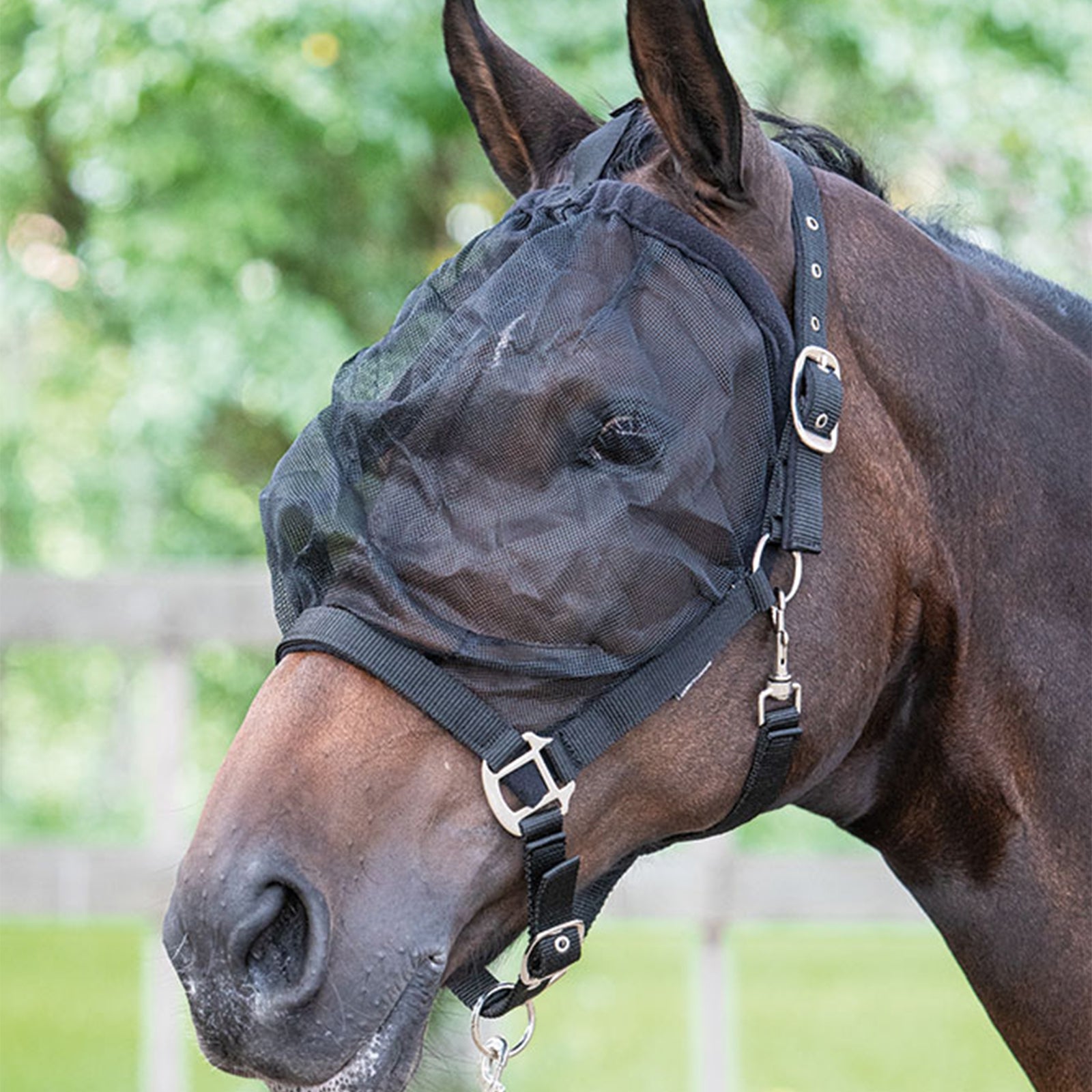 Harry's Horse Harry Horse Fly maszk fejgallér Kötofékek & Vezetoszárak