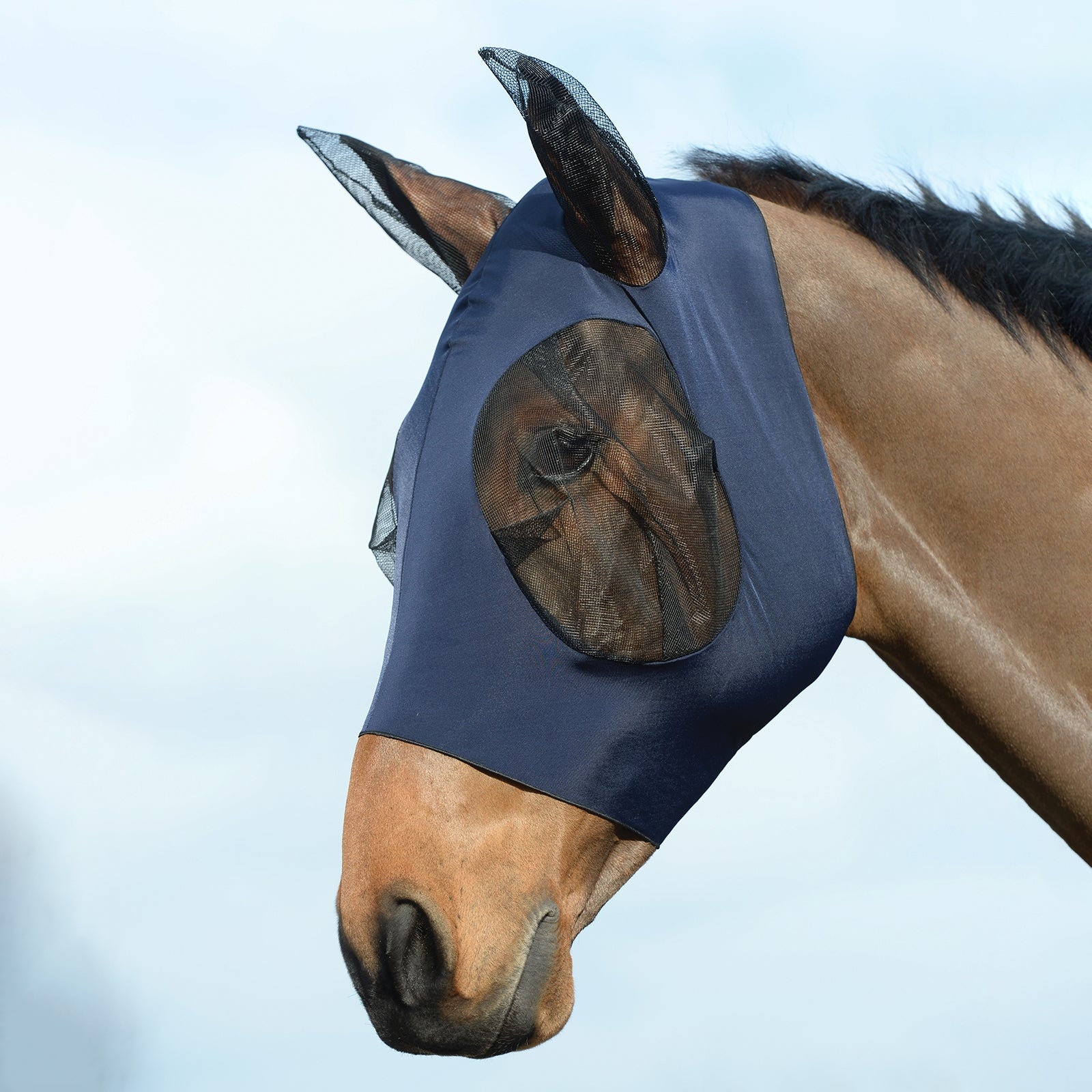 Weatherbeeta Stretch Bug Fly Mask With Ears Antifly Protection for Horses