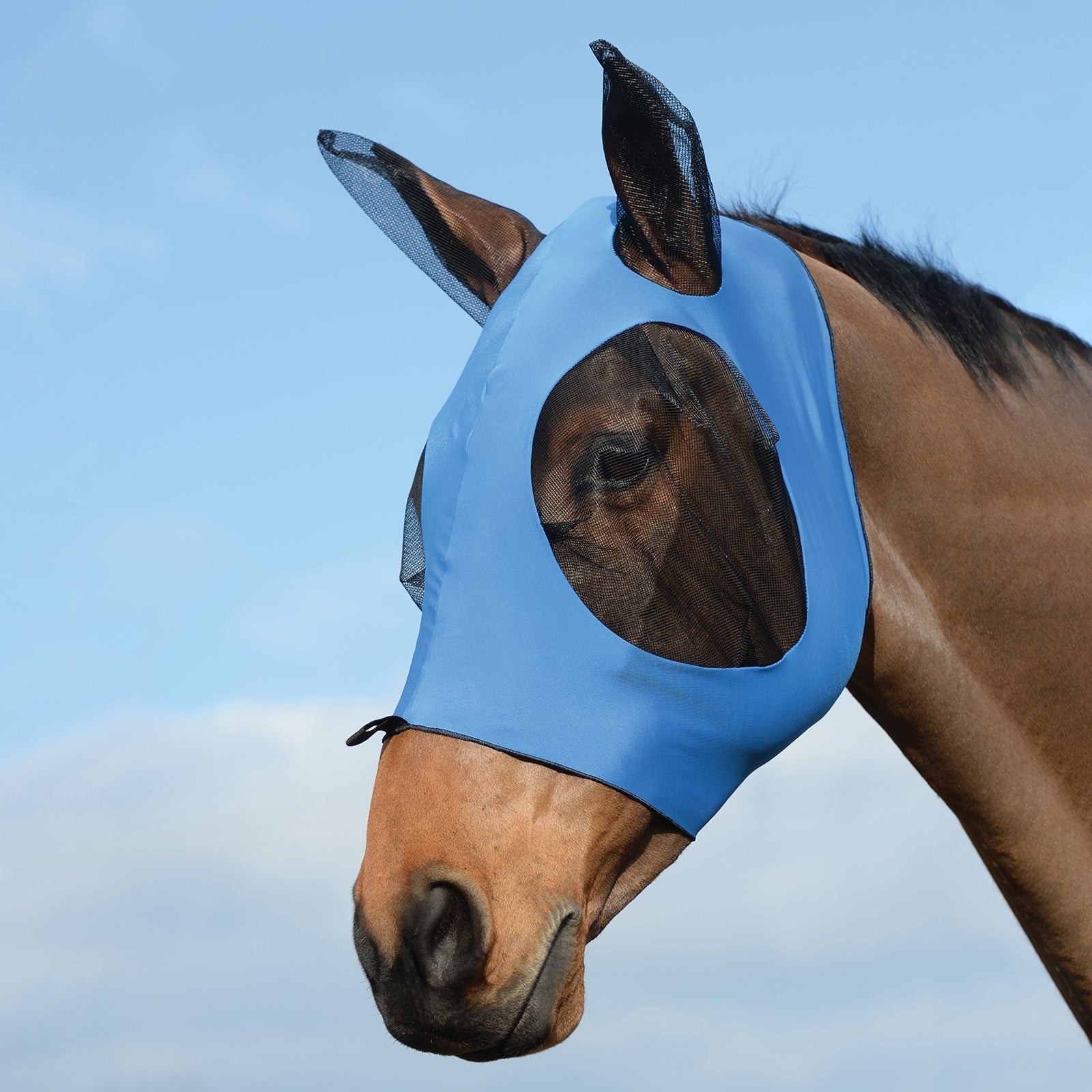 Weatherbeeta Stretch Bug Fly Mask With Ears Antifly Protection for Horses