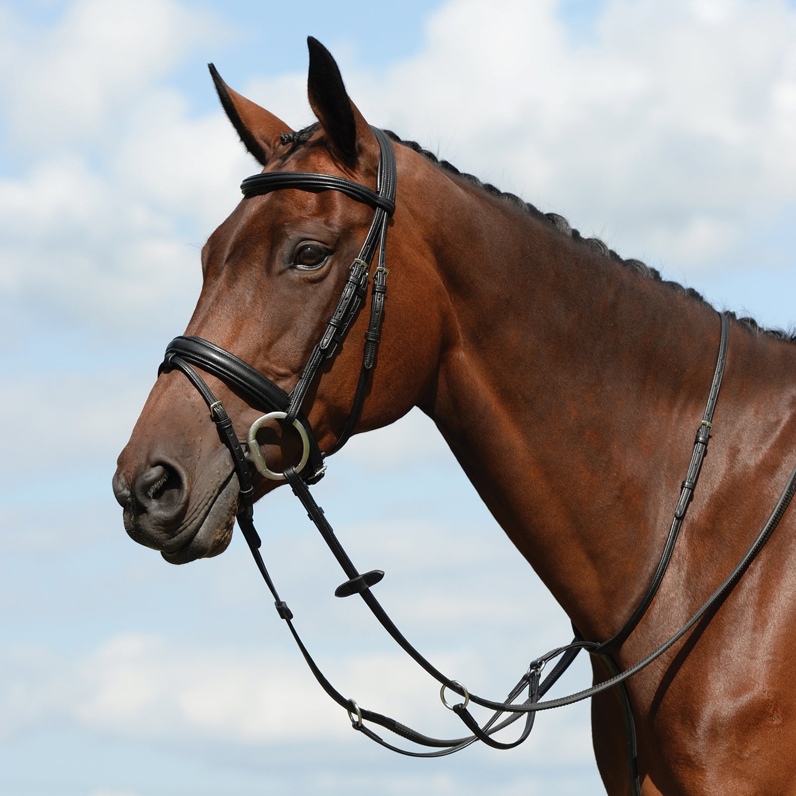 Collegiate Syntovia+ Plain Flat Running Martingale Kantárok & Szárak