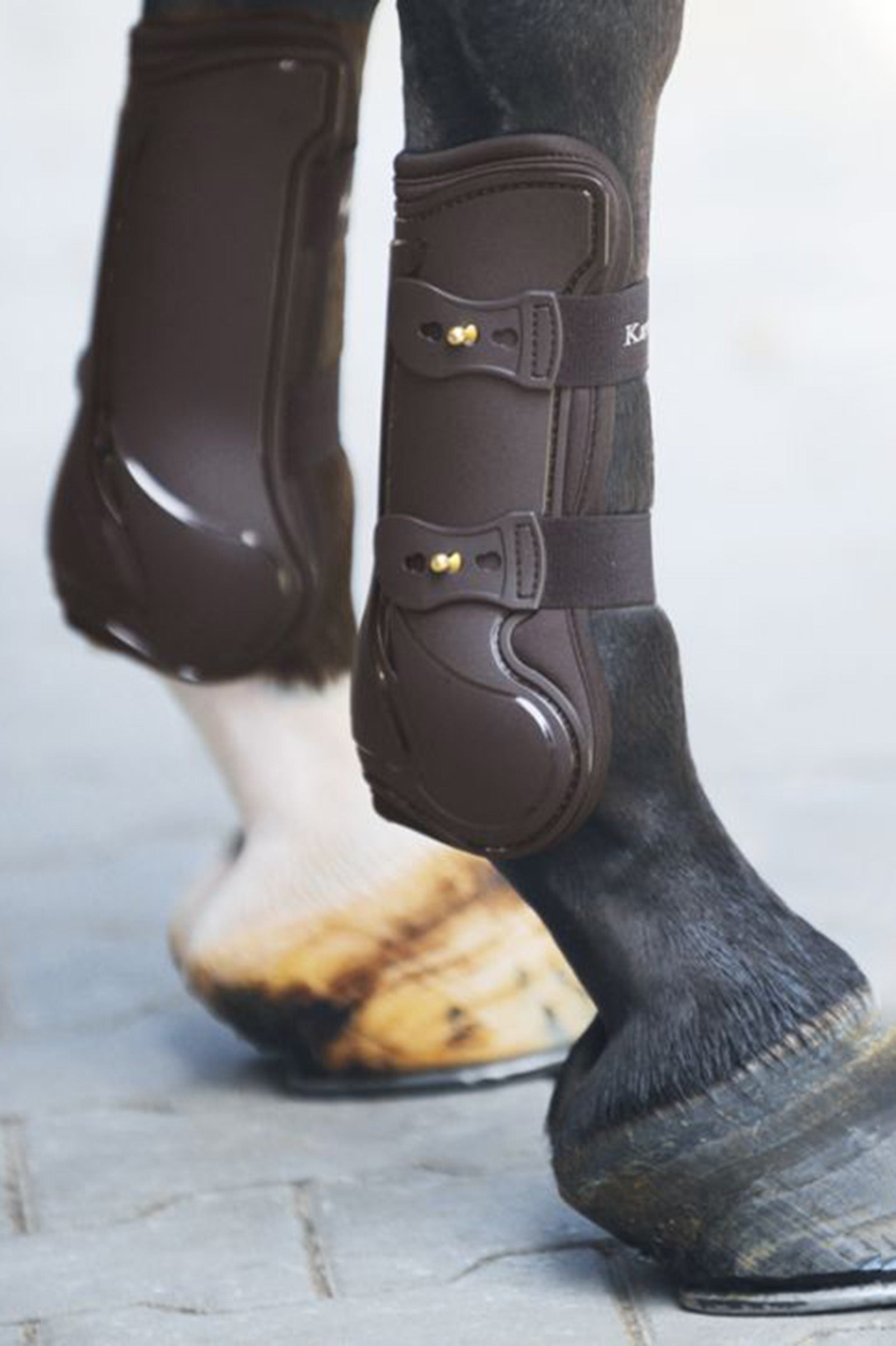 Kavalkade íncsizmák versenyeznek Leg Protection & Hoof Protection for Horses
