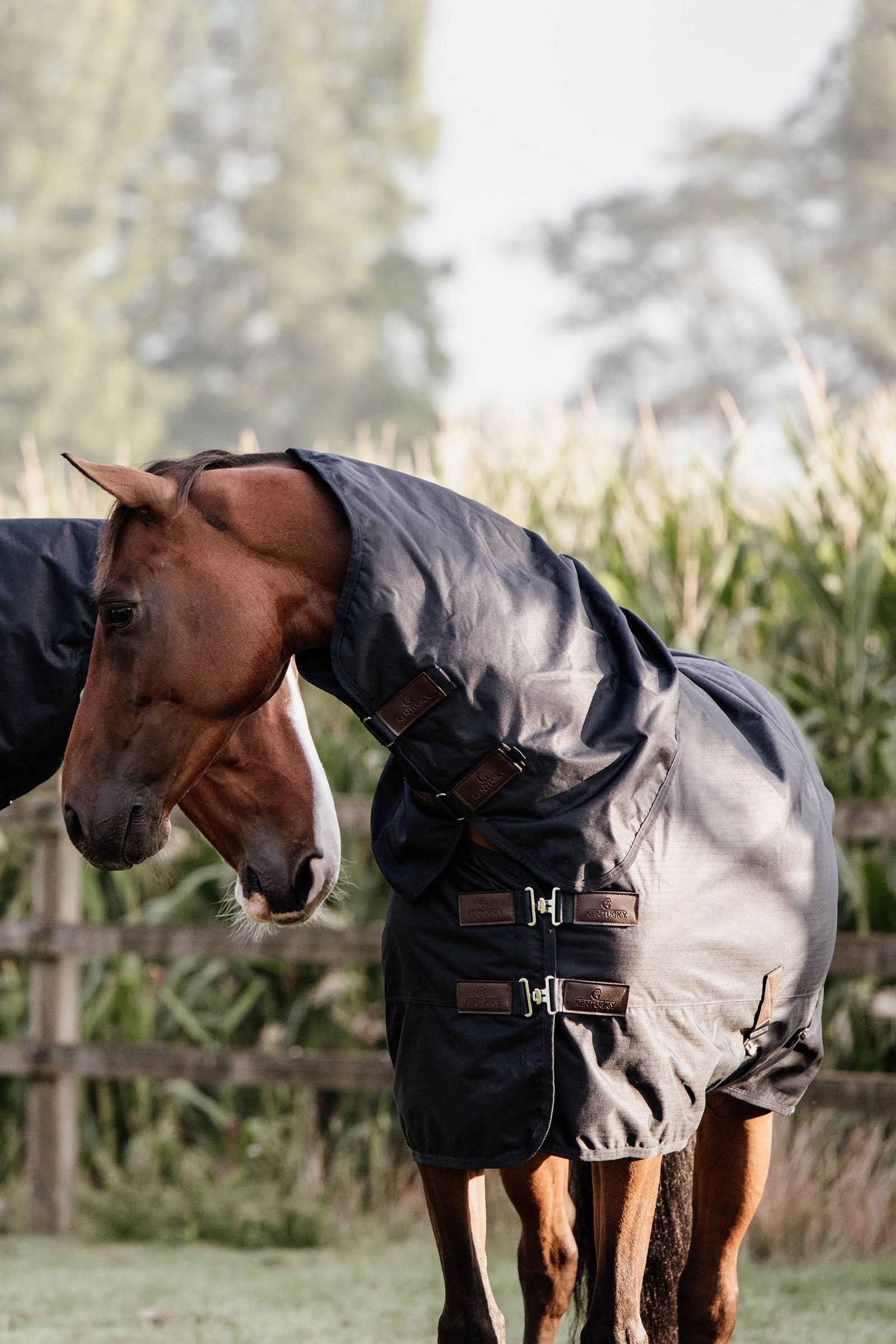 Kentucky Horsewear All Weather esőtakaró, 0g Lótakarók