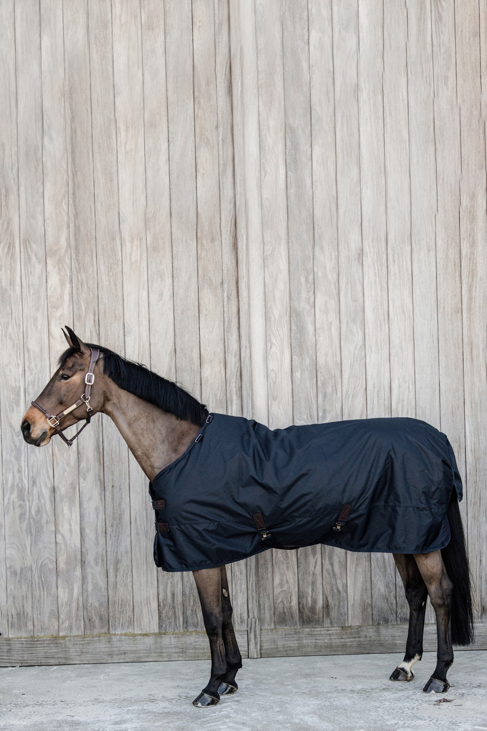 Kentucky Horsewear Turnout Rug minden időjárási vízálló Classic, 50g Lótakarók