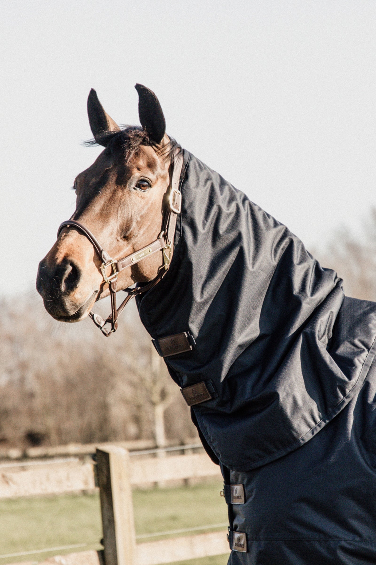 Kentucky Horsewear Neck Outdoor, 0g Horse Rugs