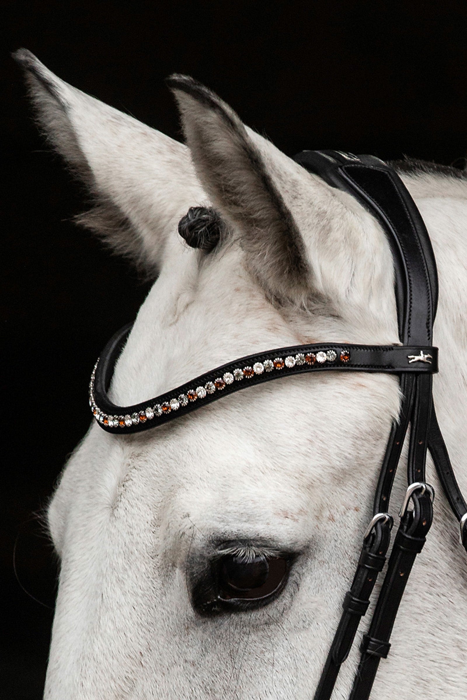 Schockemöhle Sports Diamond Select Browband Bridles & Reins