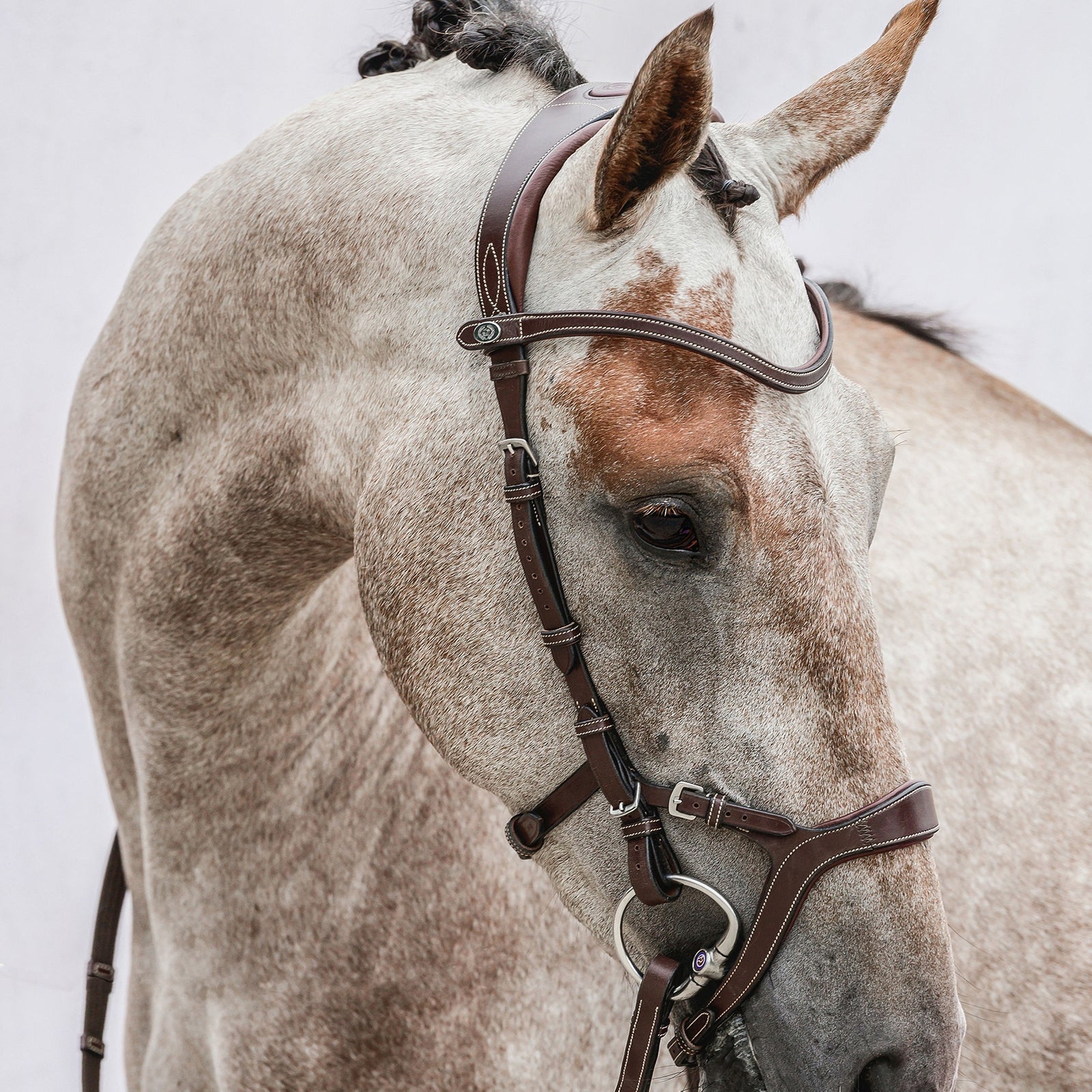 PS of Sweden bridle Nirak Bridles & Reins