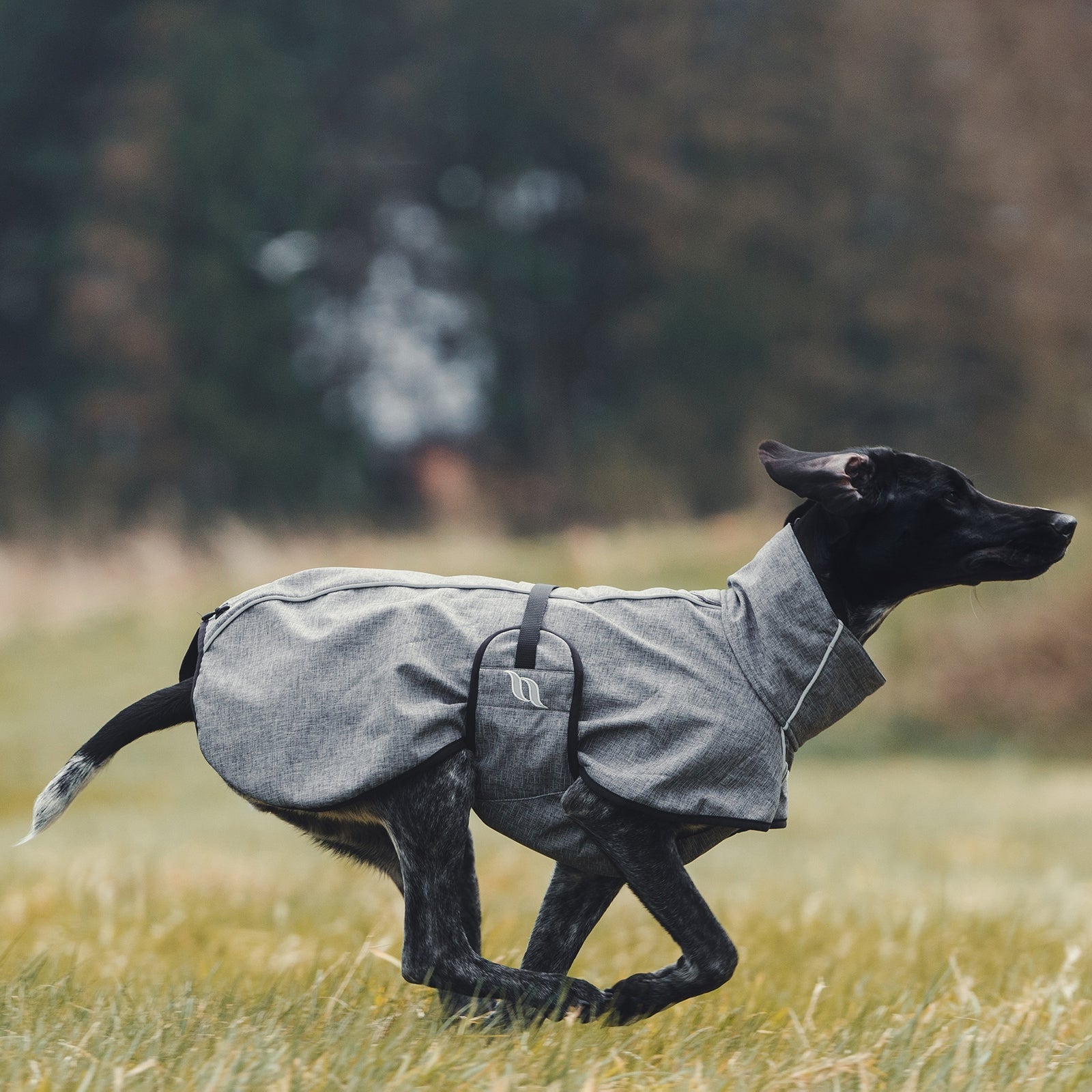 Back on Track Bark All-Round Dog Coat, 70-80cm Dog Accesories