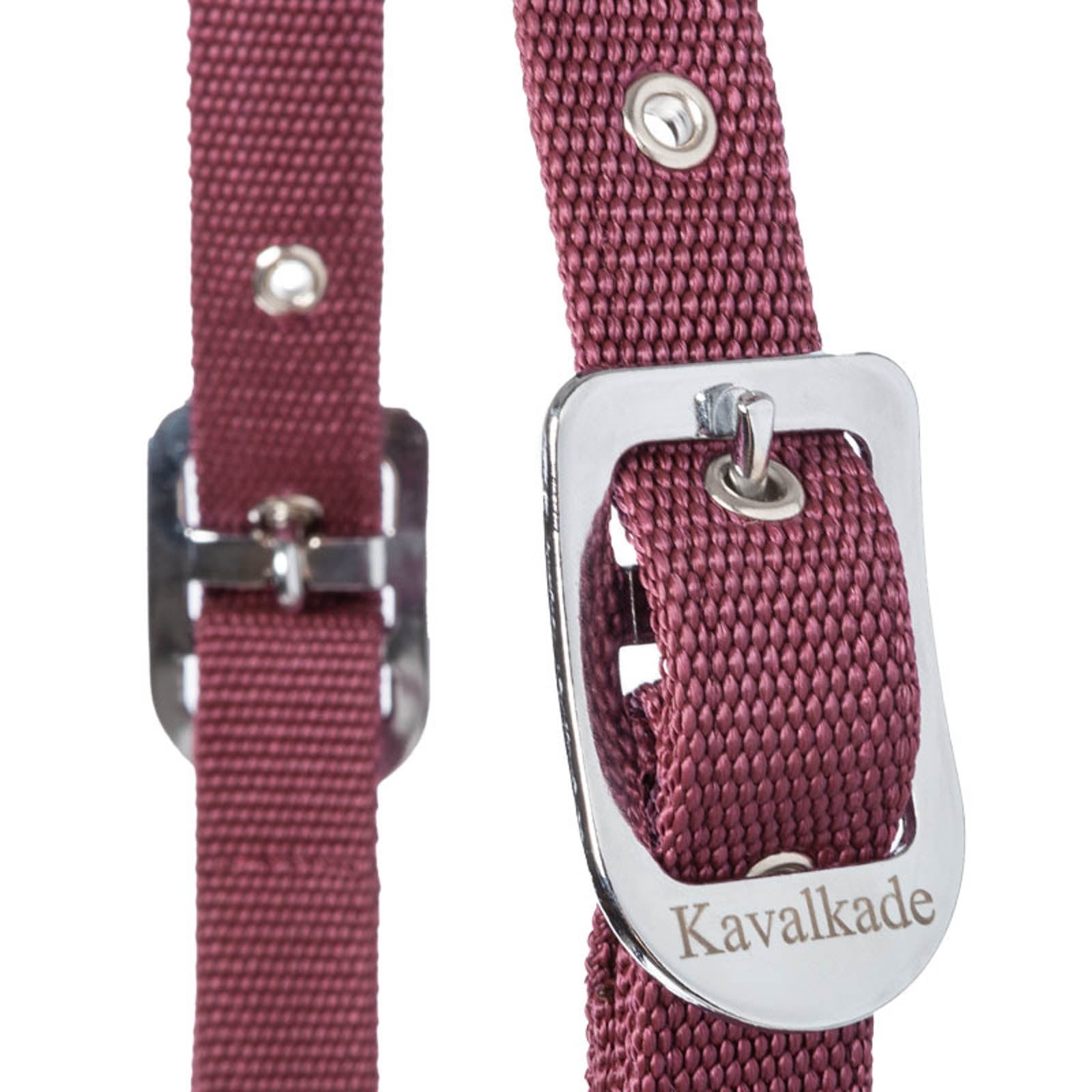 Kavalkade Classic Halter Halters & Leads