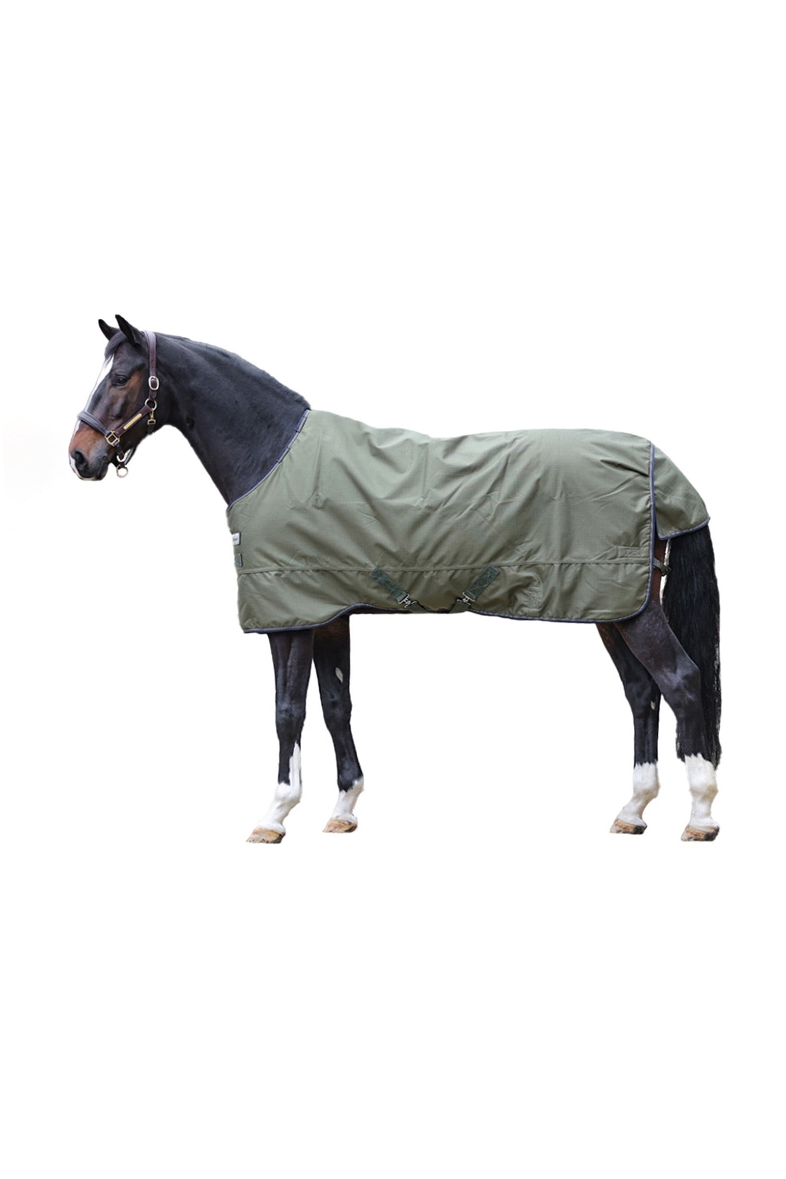 Kavalkade Montreal Turnout Rug, 100g Lótakarók