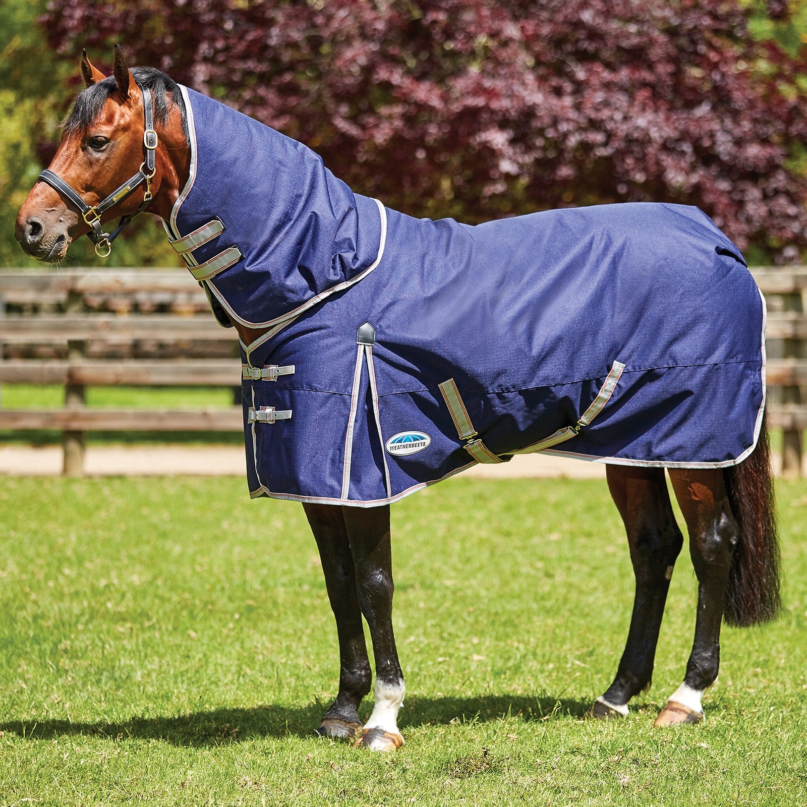 Weatherbeeta Comfitec Essential Detach-a-Neck, 50g Lótakarók
