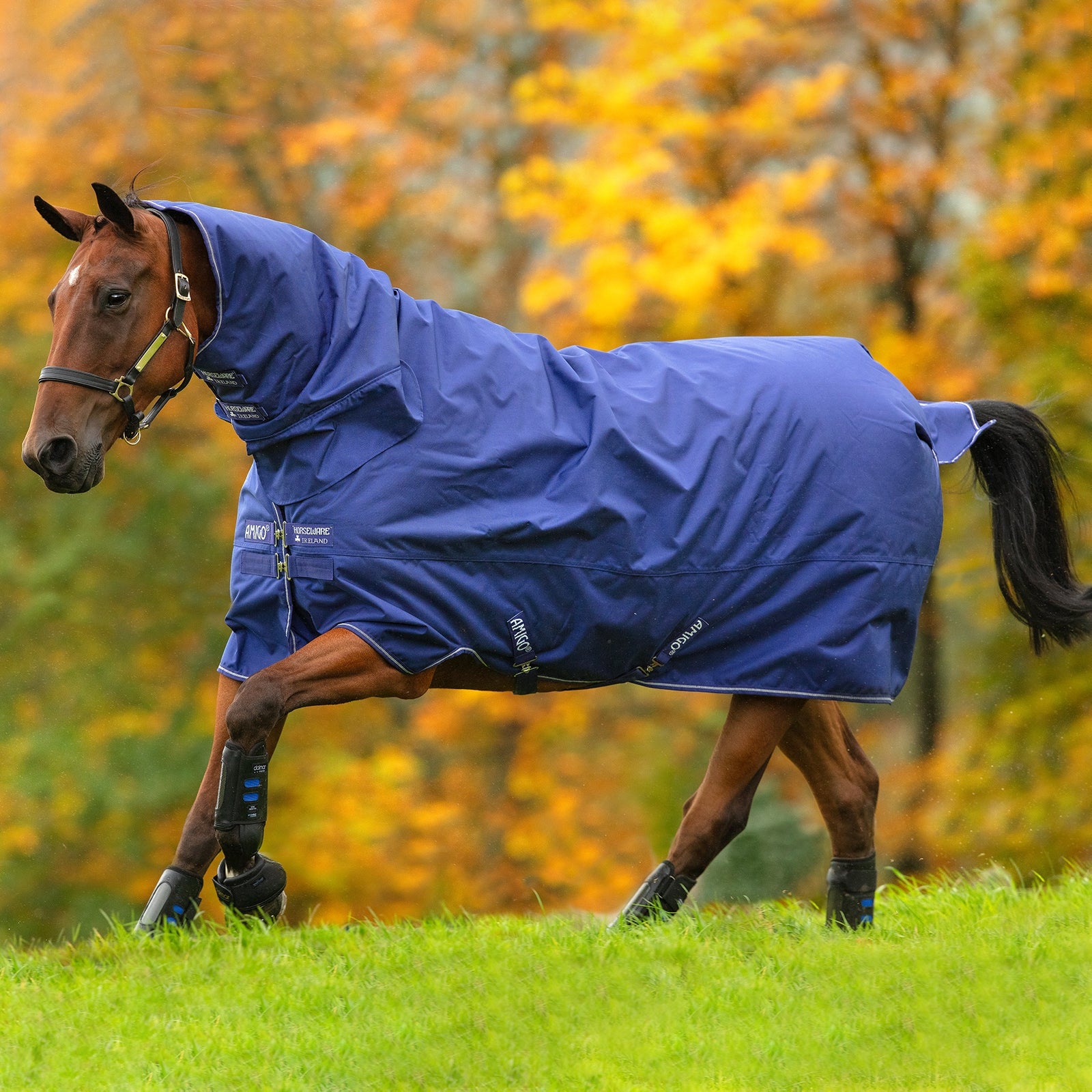 Horseware Amigo Hero 900 All-In-One Kitérő incl. Integrált motorháztető, 200g Lótakarók
