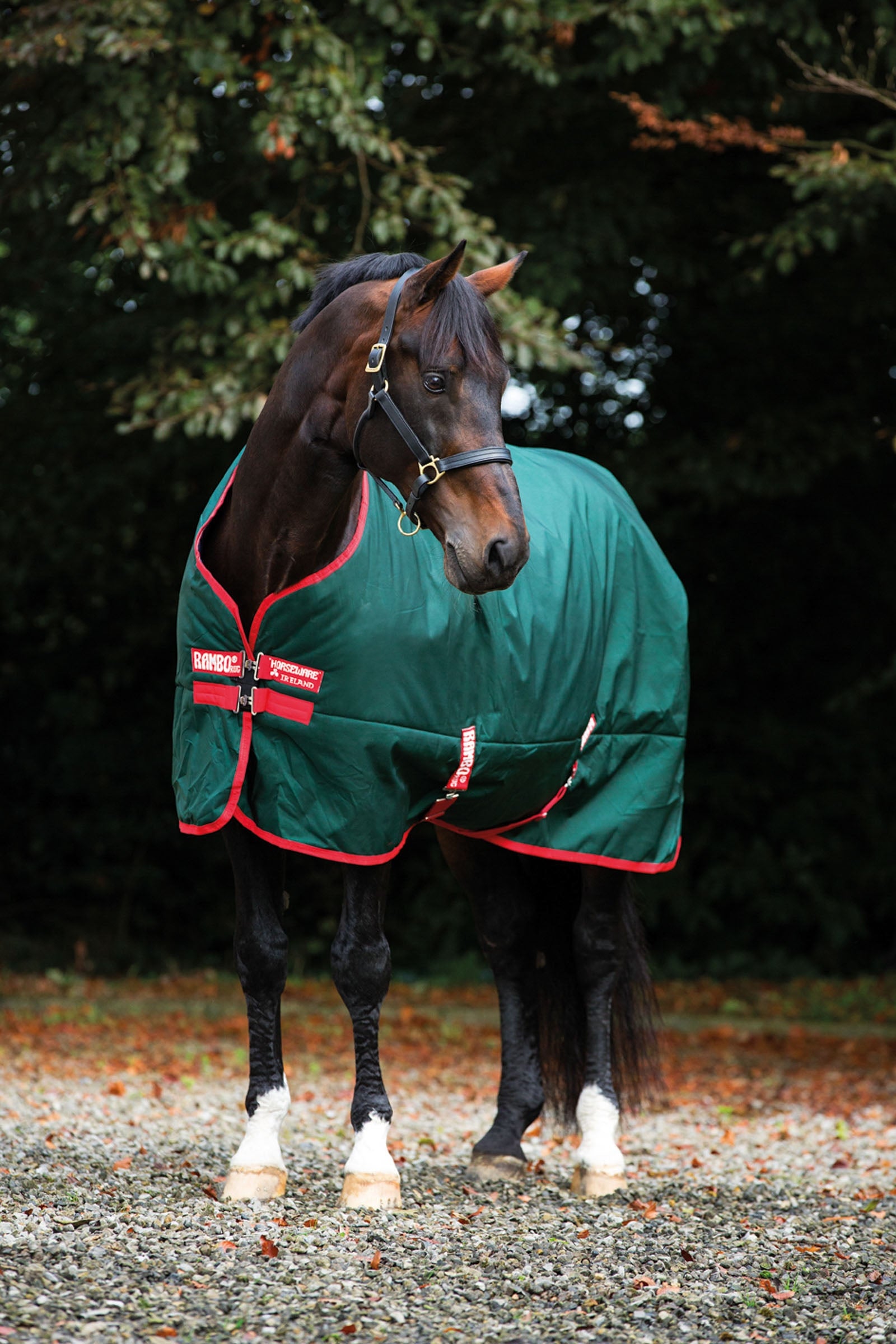 Horseware Rambo Original Turnout, 0g Lótakarók