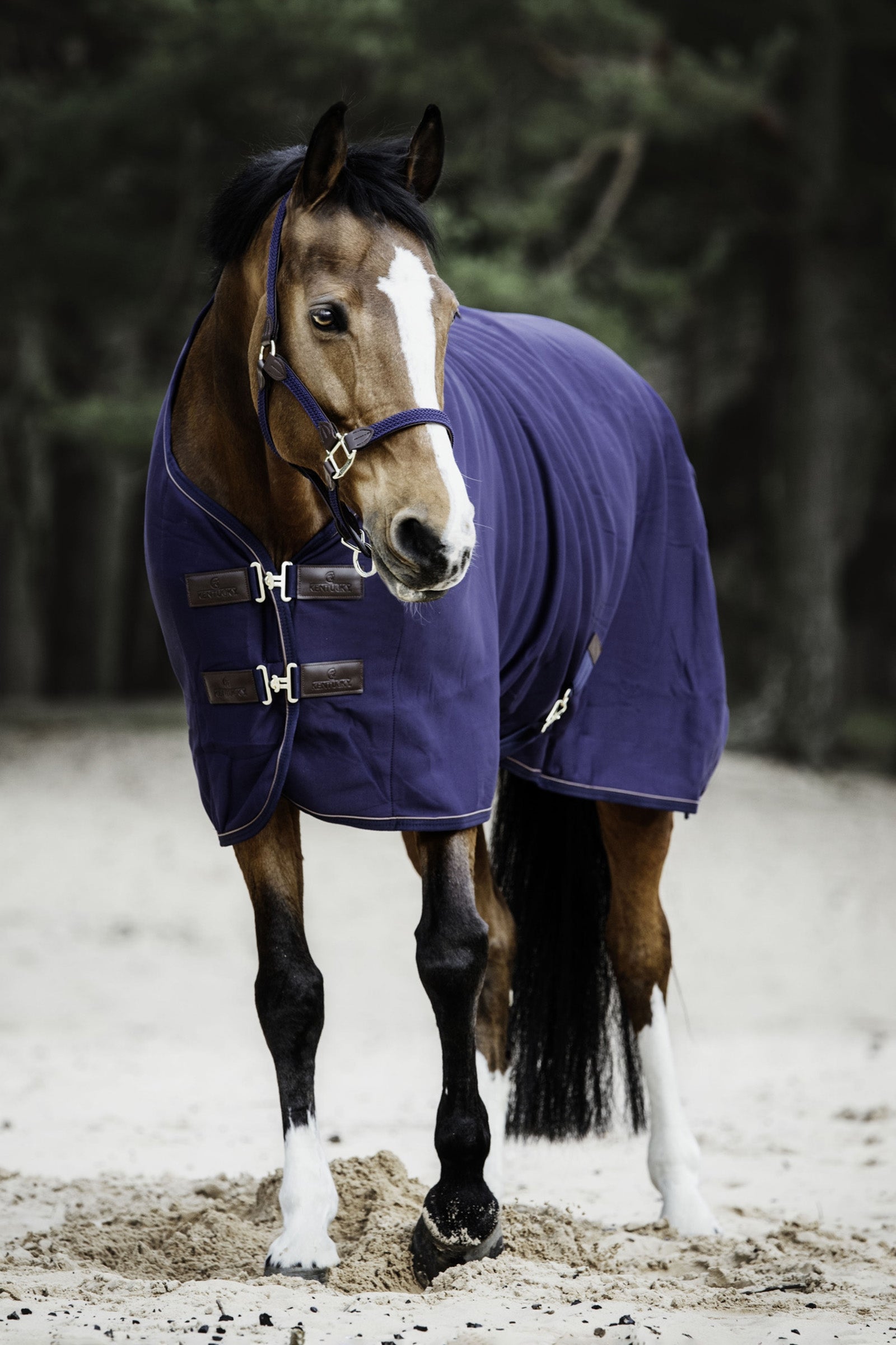 Kentucky Horsewear apró gyapjúhűtő Lótakarók