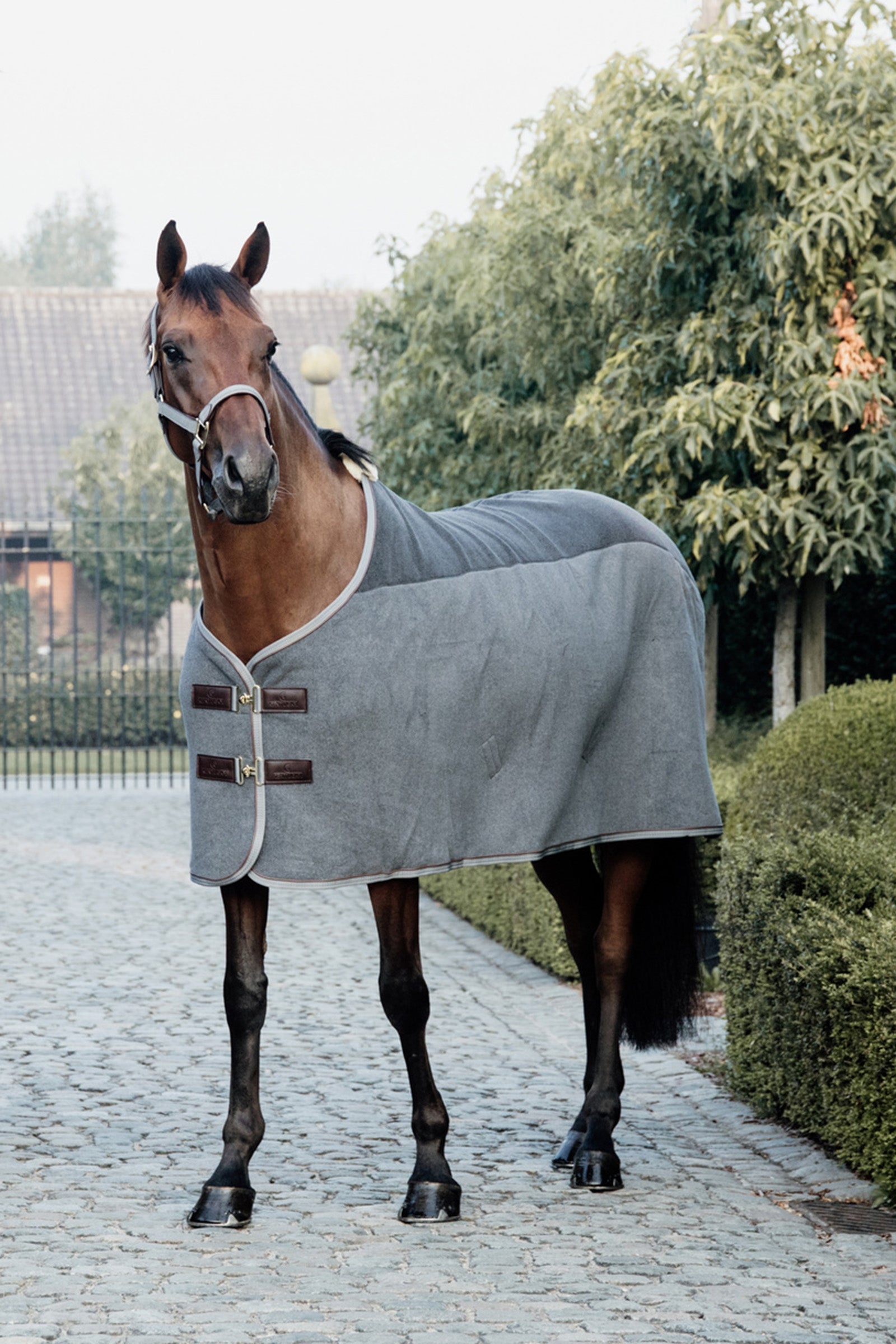 Kentucky Horsewear Tiny Heavy Fleece Rug Horse Rugs