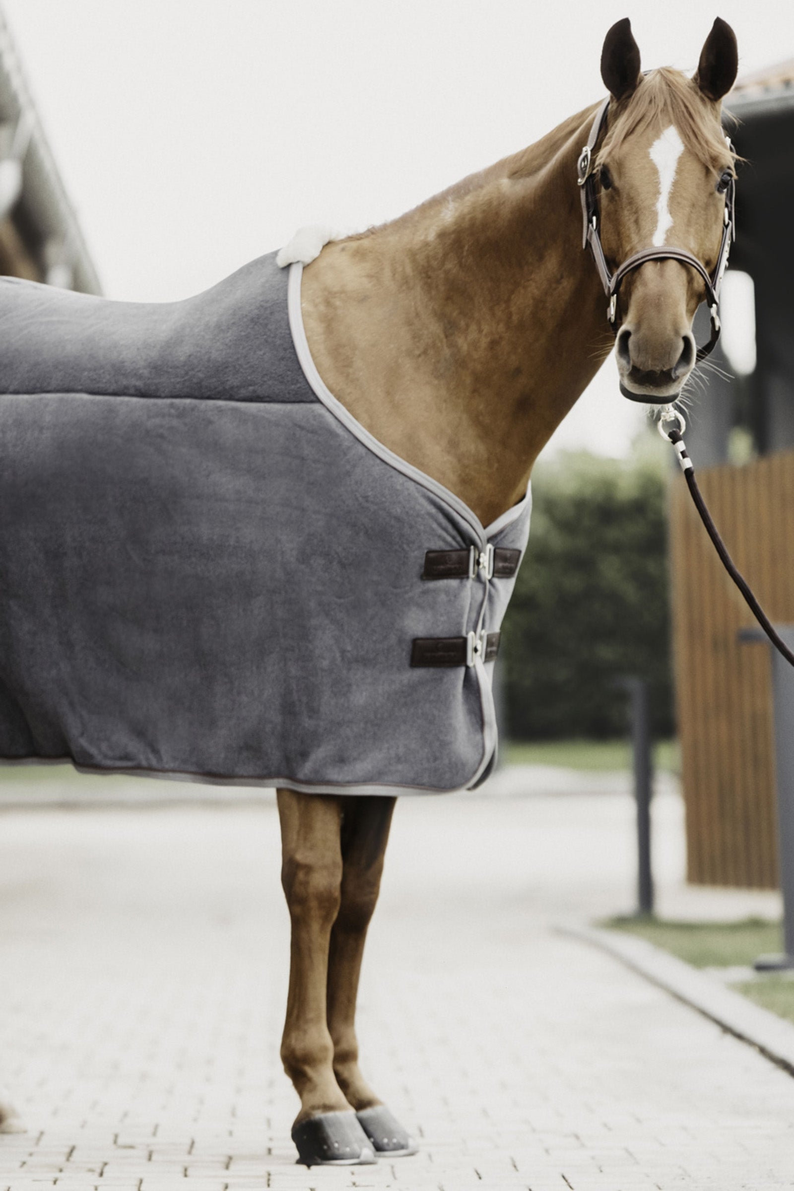 Kentucky Horsewear Tiny Heavy Fleece Rug Horse Rugs