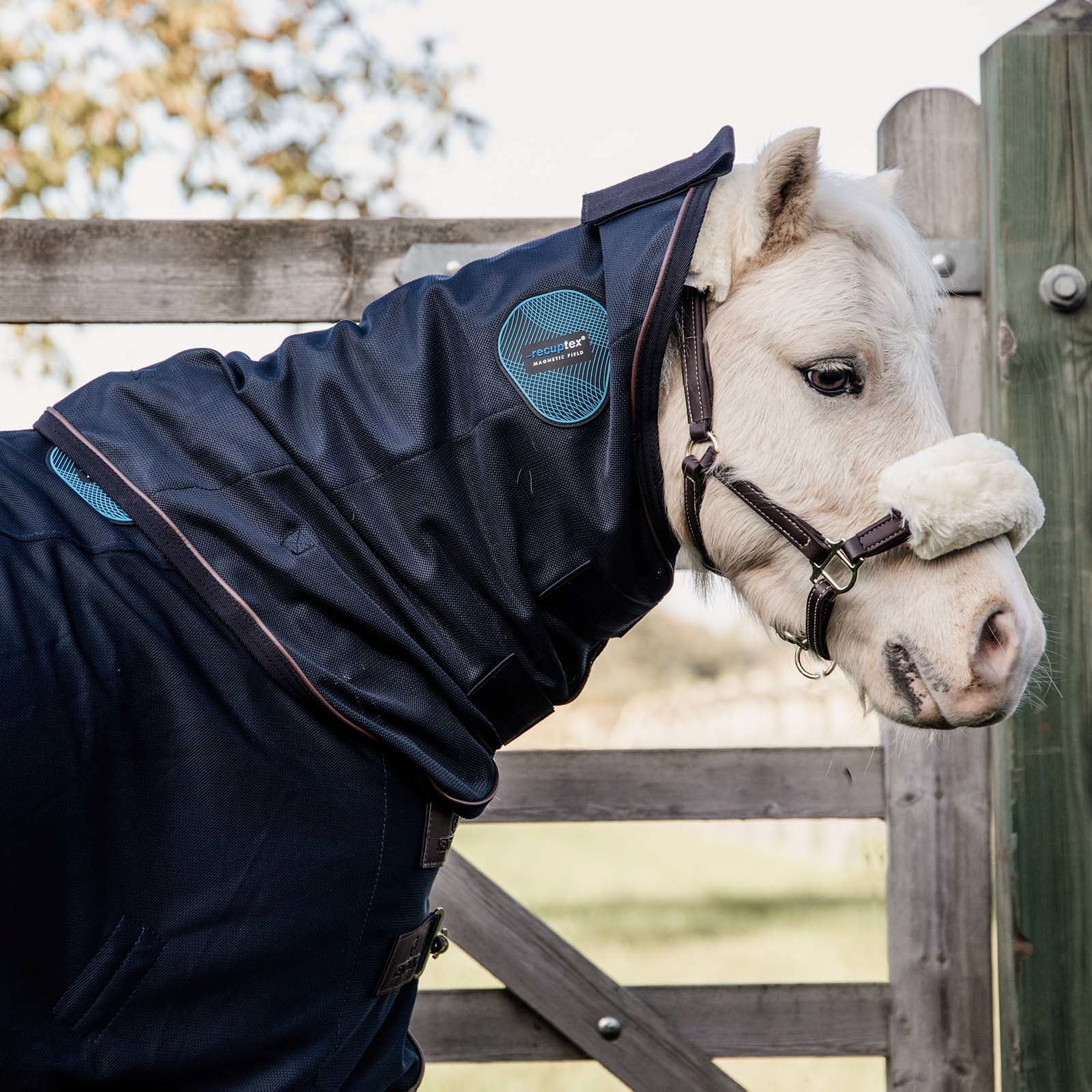 Kentucky Horsewear Tiny Recuptex Magnetic Rug Horse Rugs