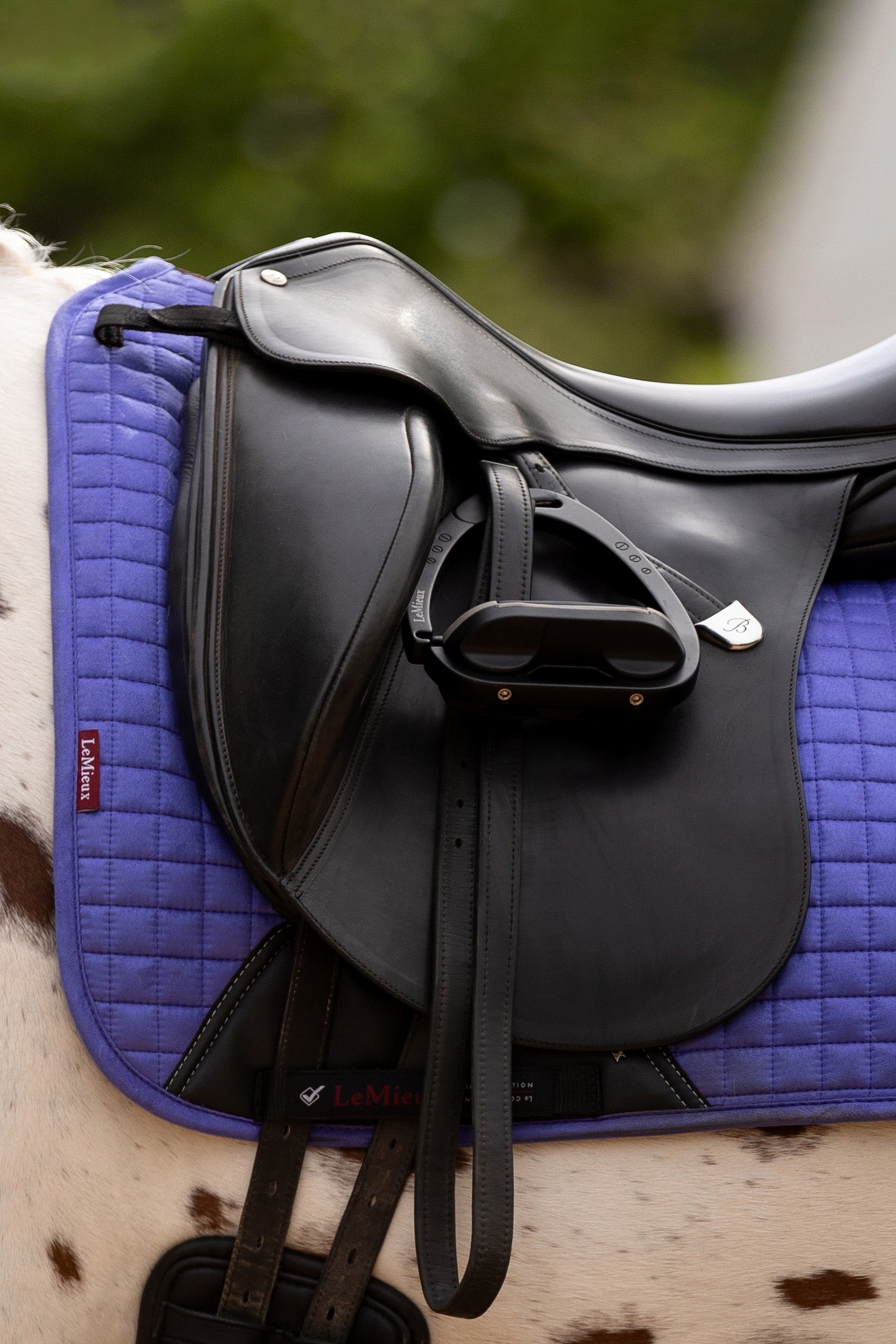 LeMieux Suede Square Dressage Saddle Pad Saddle Pads