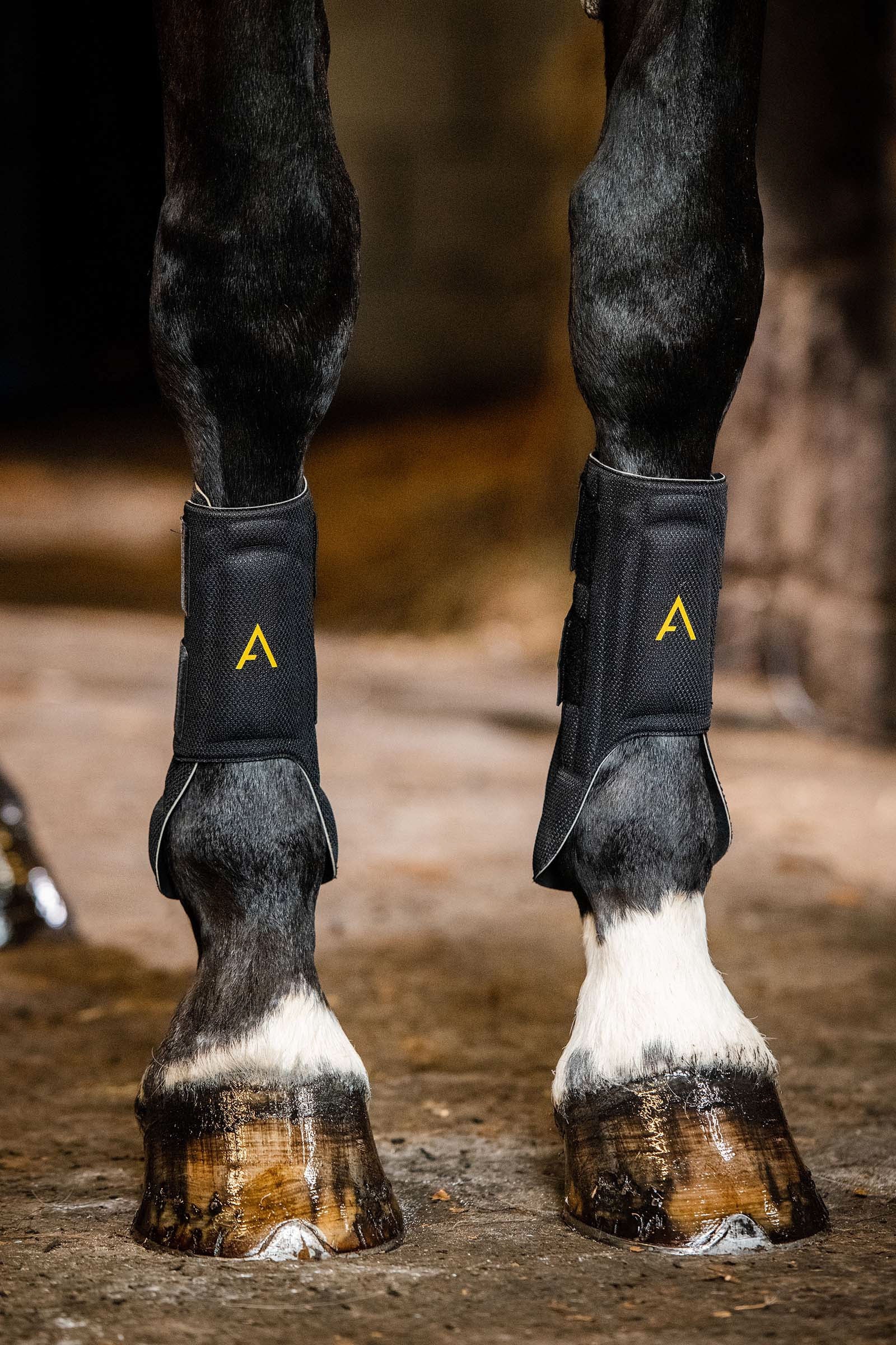 Horseware Adagio Csizma Leg Protection & Hoof Protection for Horses