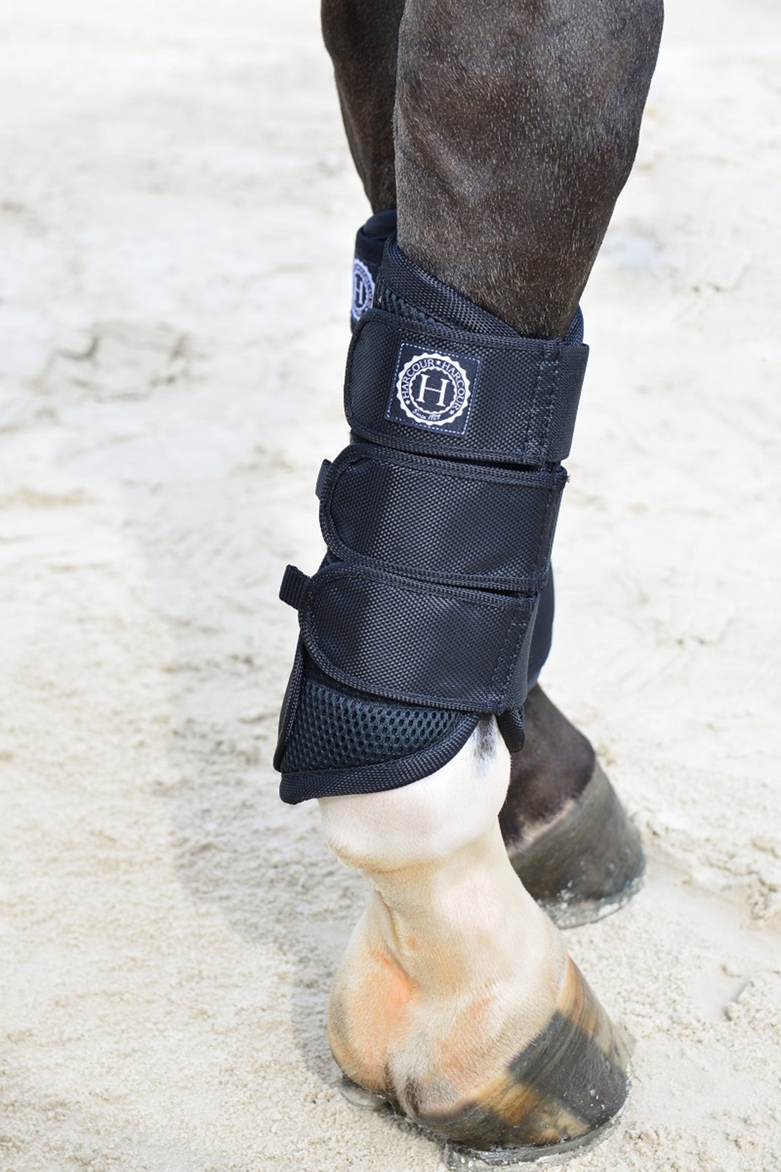 Harcour Cosmic Mesh íncsizma Leg Protection & Hoof Protection for Horses