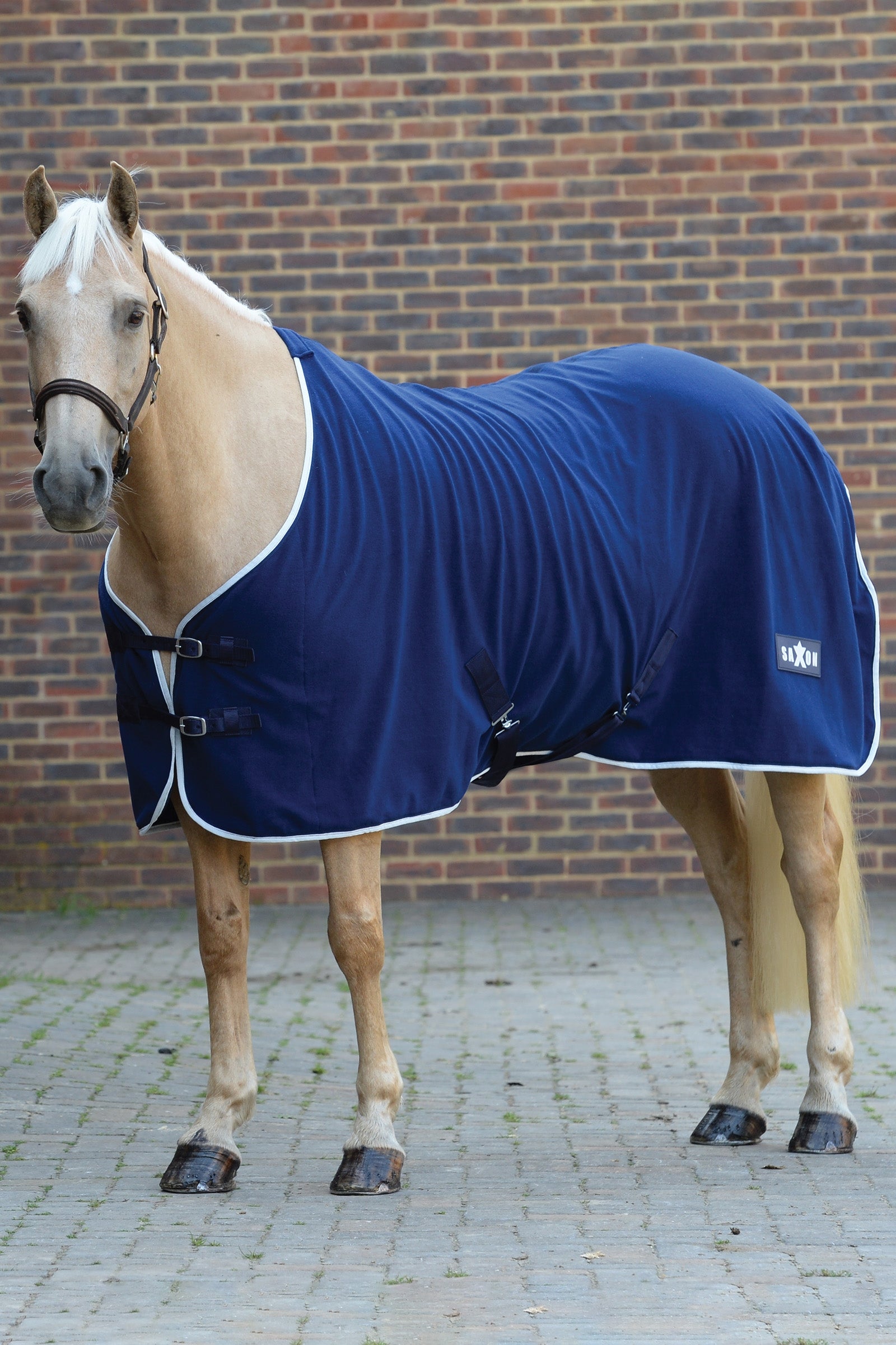 Saxon Polártakaró Lótakarók