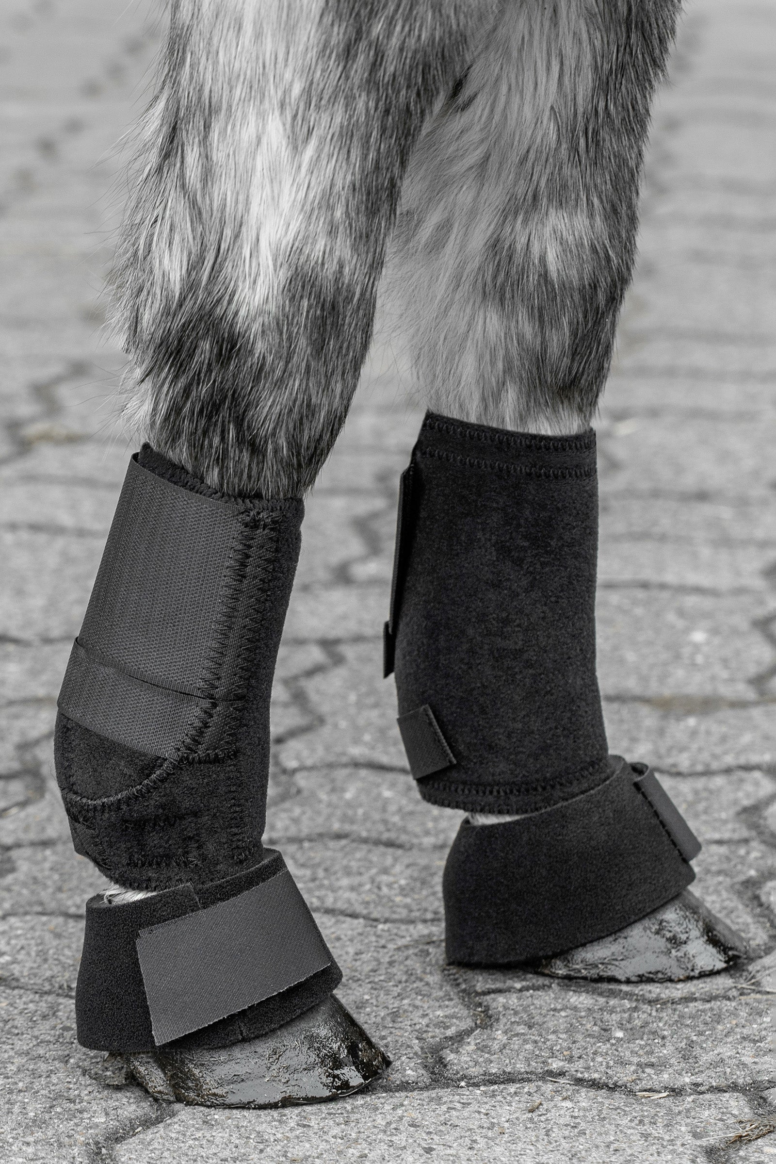 USG Shetty ínvédő edzéshez Leg Protection & Hoof Protection for Horses