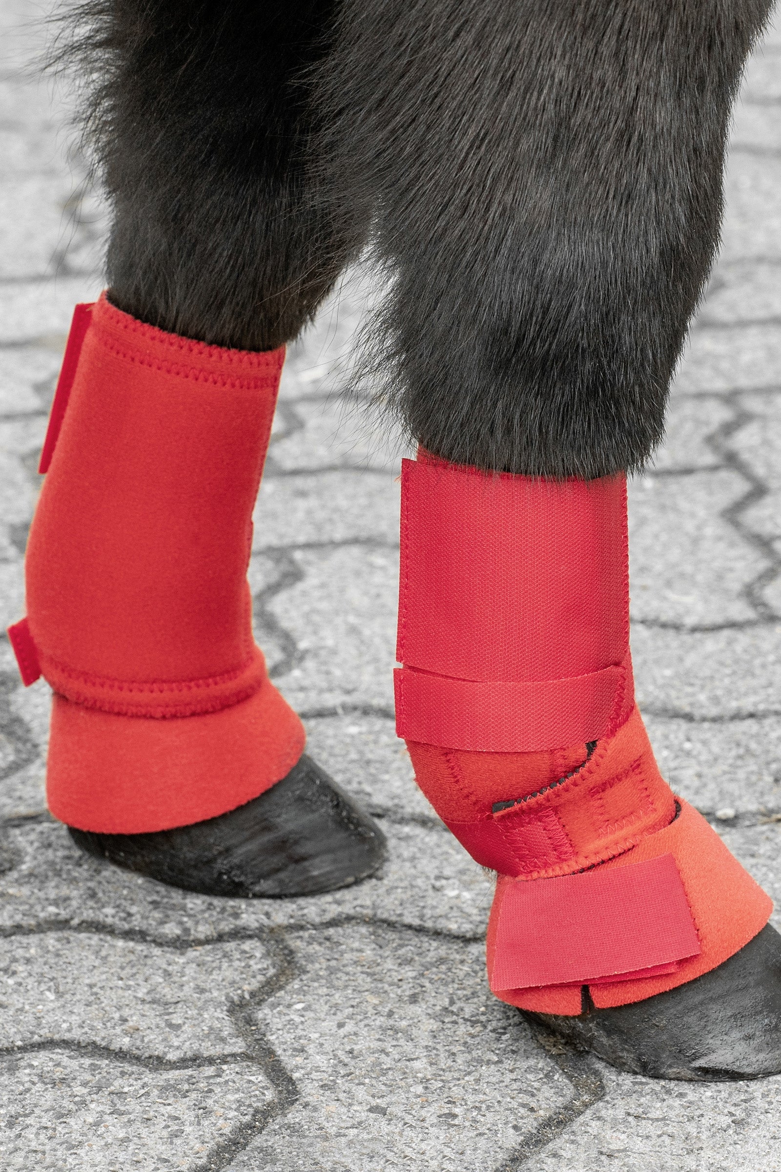 USG Shetty ínvédő edzéshez Leg Protection & Hoof Protection for Horses