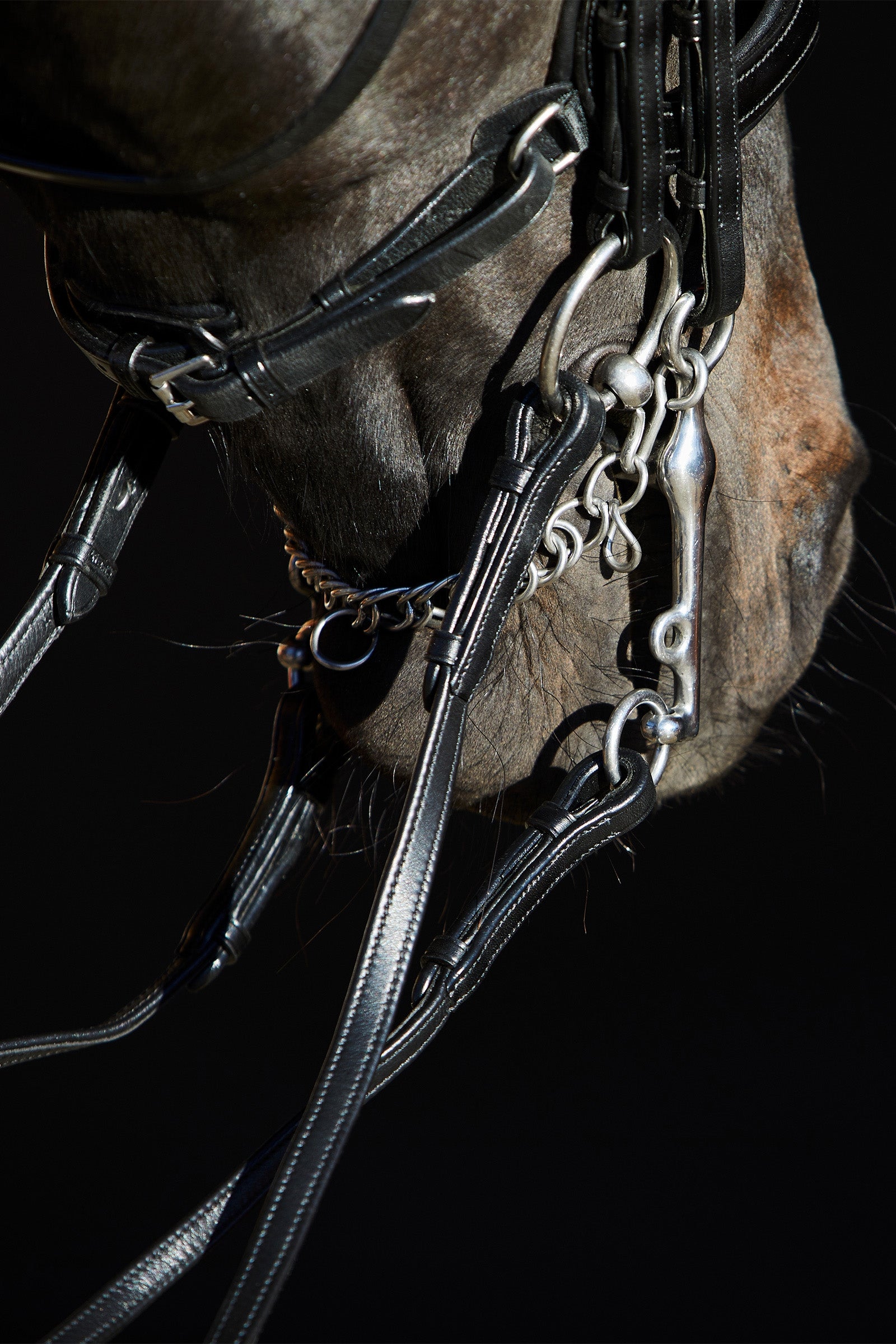 Kieffer Ultrasoft® Amy Double Bridle Bridles & Reins