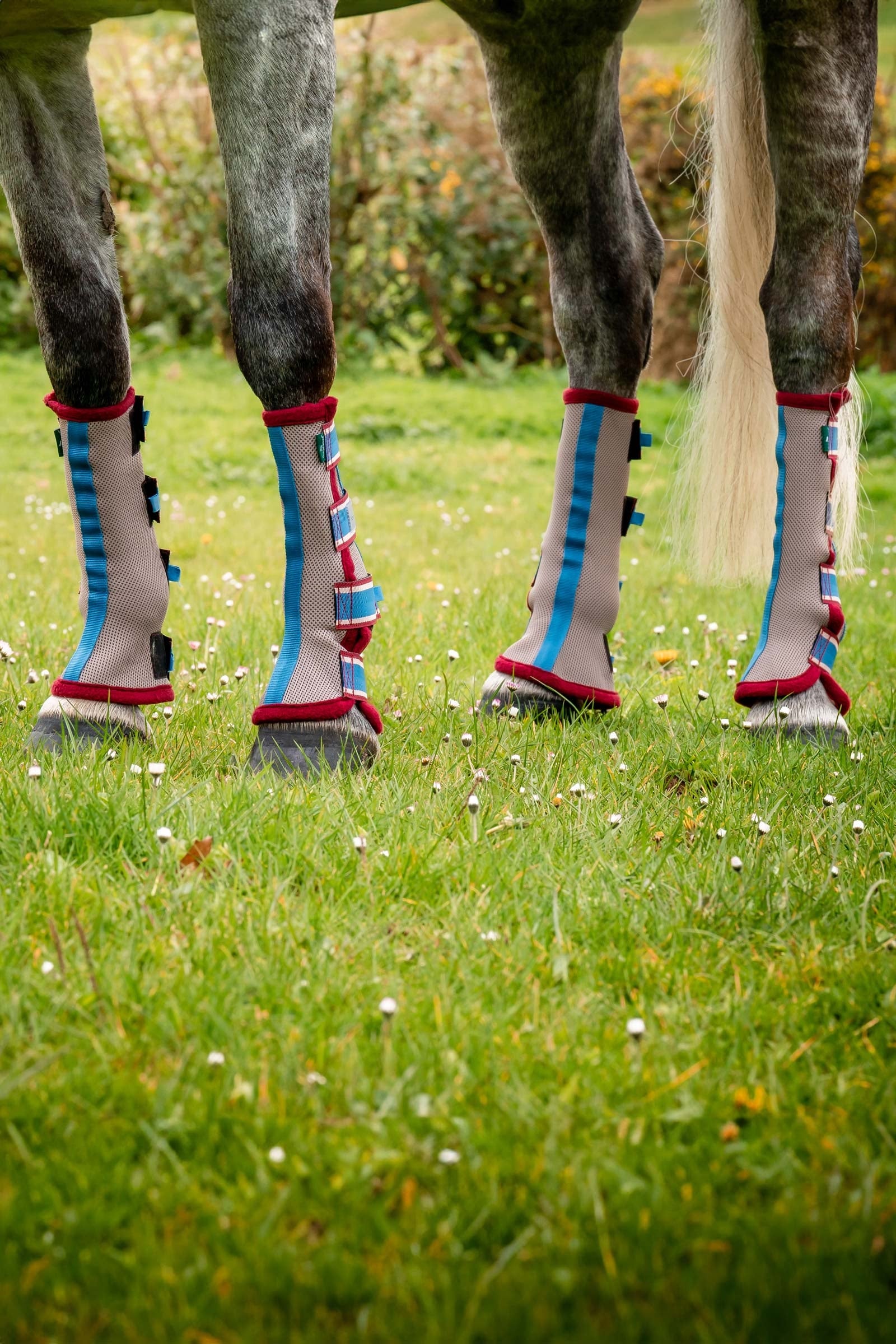 Horseware Fly Boots Leg Protection & Hoof Protection for Horses