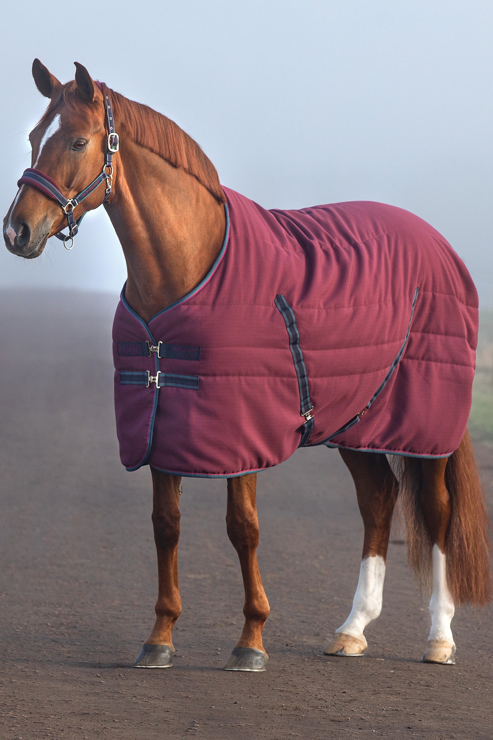 Horseware Rambo Istállótakaró Dombornyomott Béléssel, 100g Lótakarók