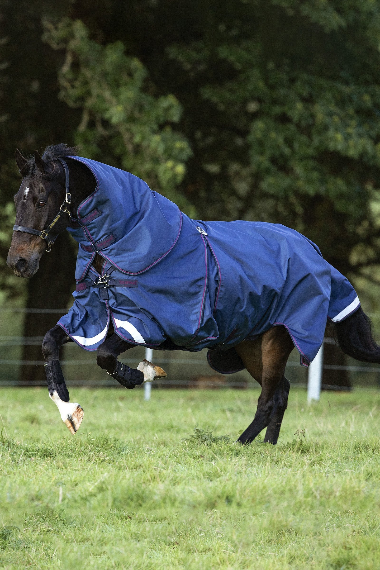 Horseware Rambo Optimo Plus Legelő Takaró, 0g Lótakarók