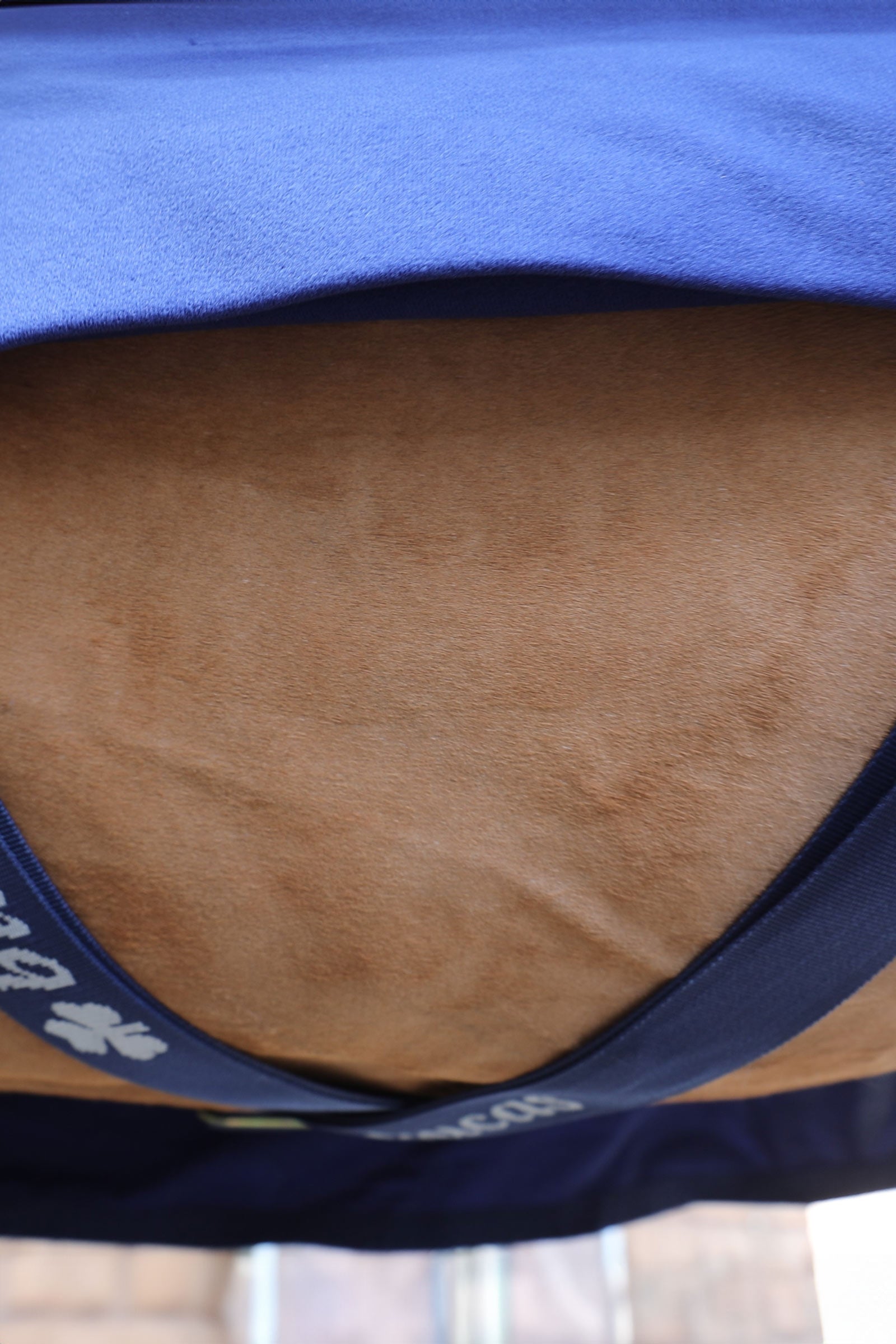 Bucas Power Cooler Horse Rugs