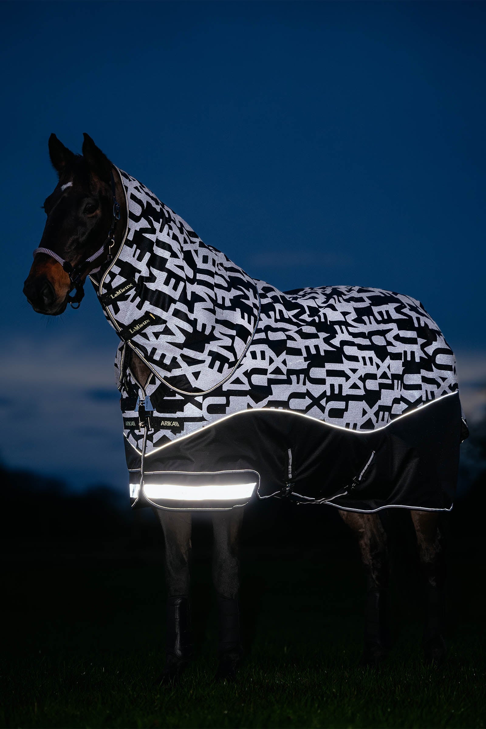 LeMieux Arika Reflective Turnout Rug With Detachable Neck, 0 g Horse Rugs