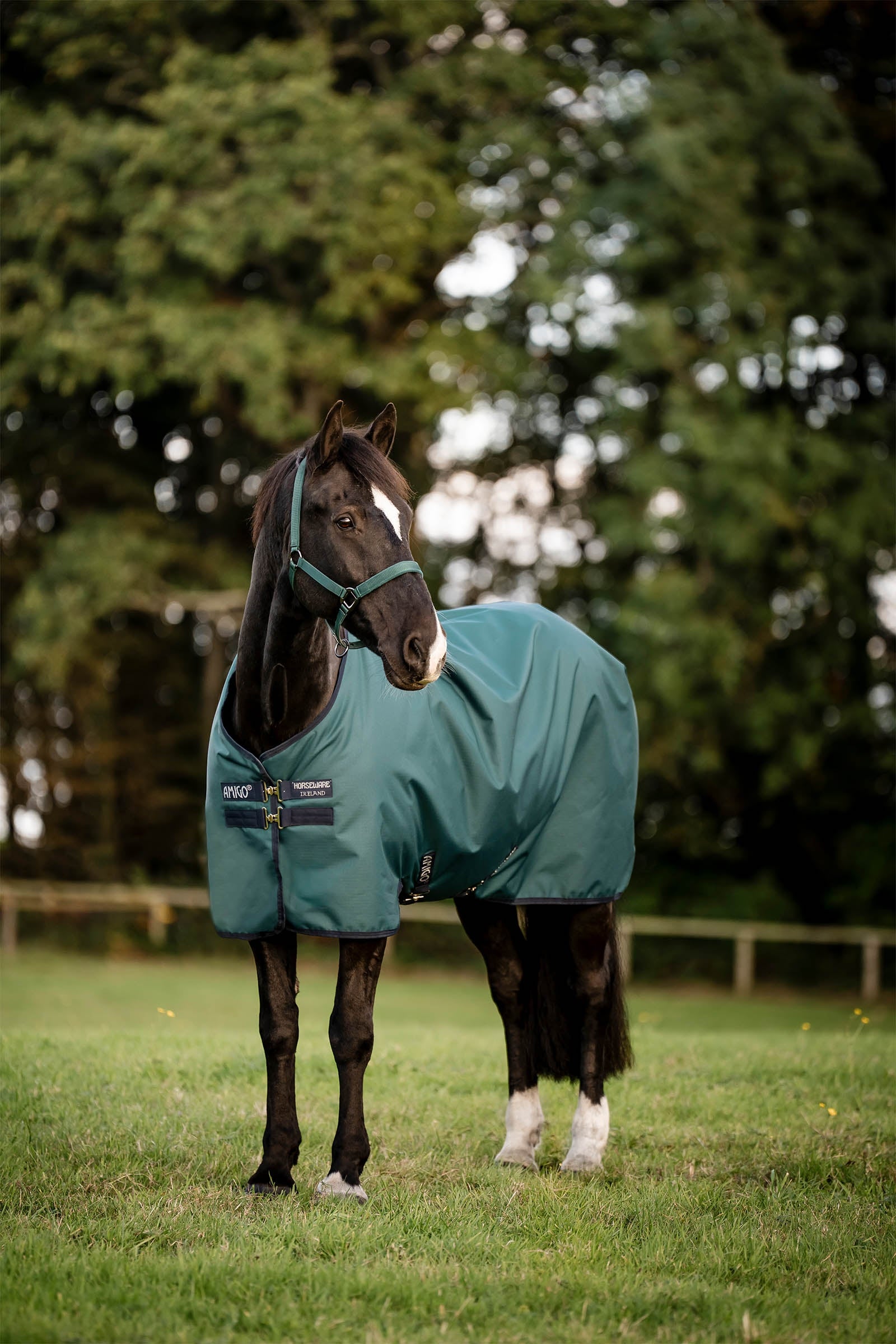 Horseware Amigo 900D Ripstop kültéri takaró, 100 g Lótakarók