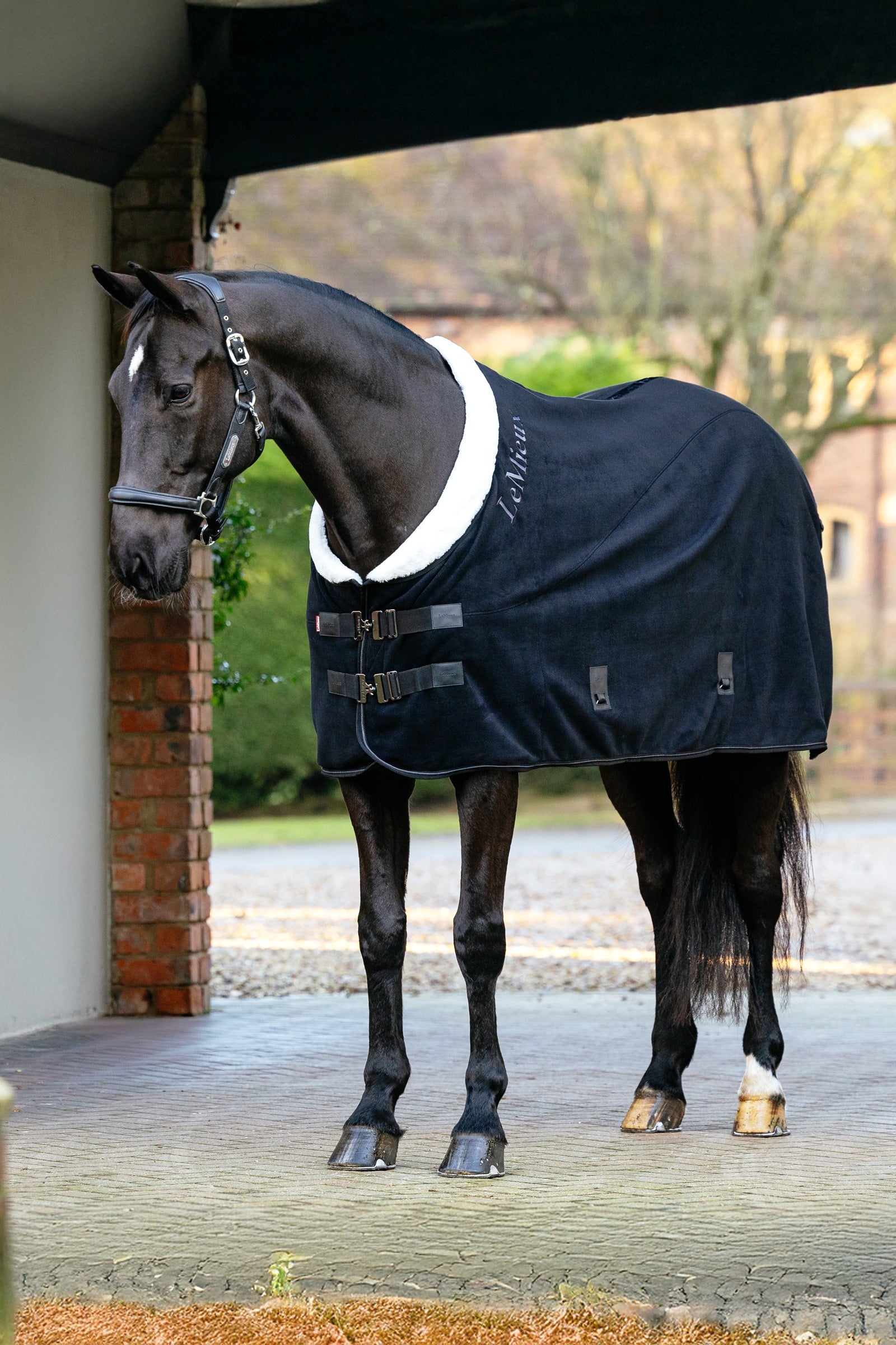 LeMieux Kudos Luxe Fleece Rug Lótakarók