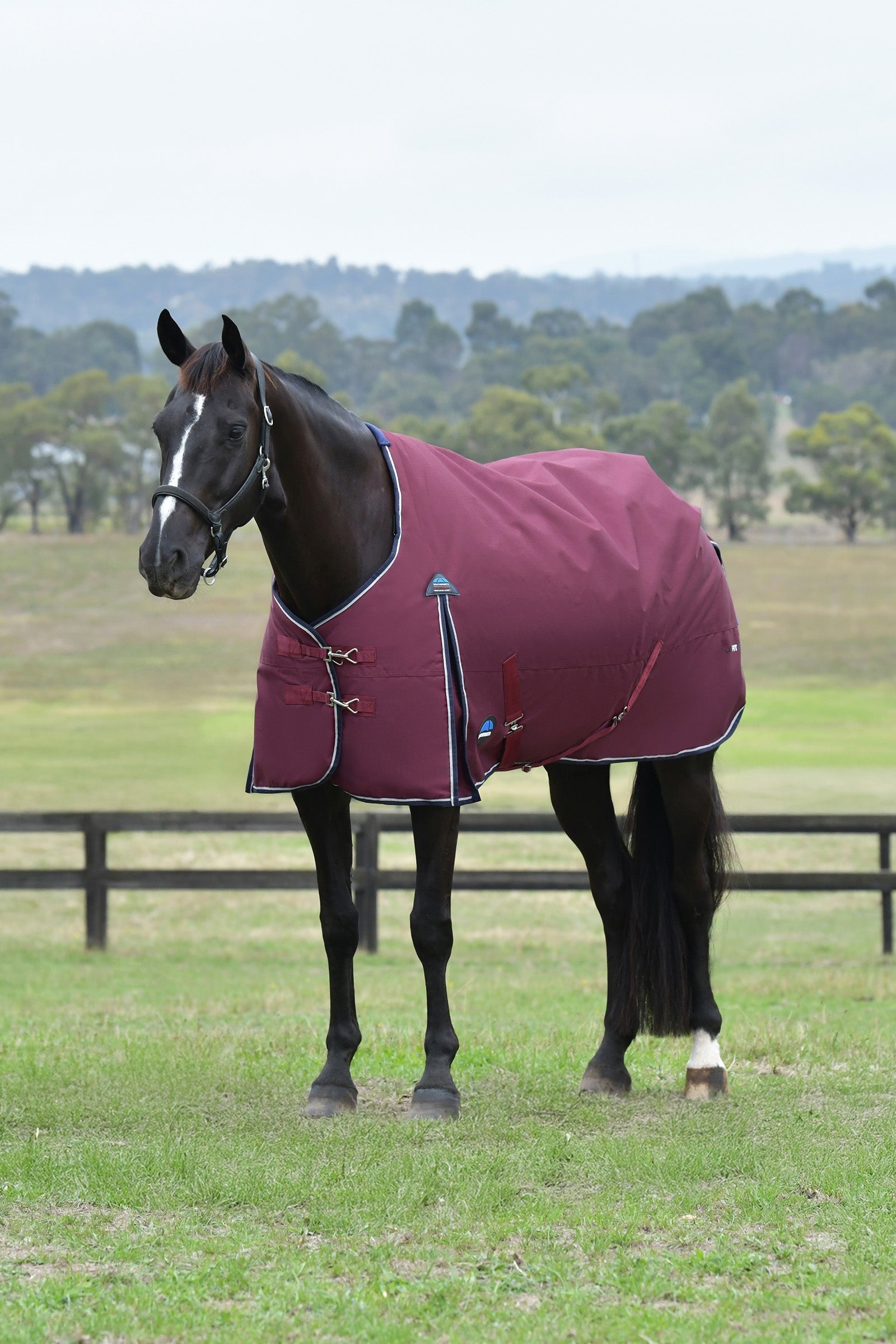 Weatherbeeta ComFiTec Essential Turnout Standard Neck 0G Lótakarók