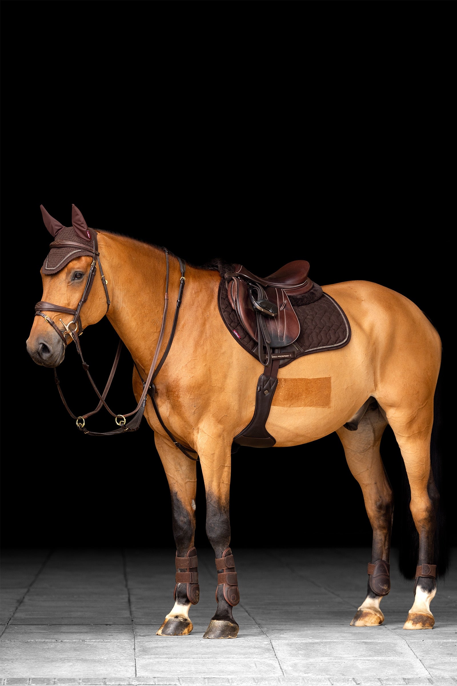 LeMieux Crystal Suede CC Pad Saddle Pads