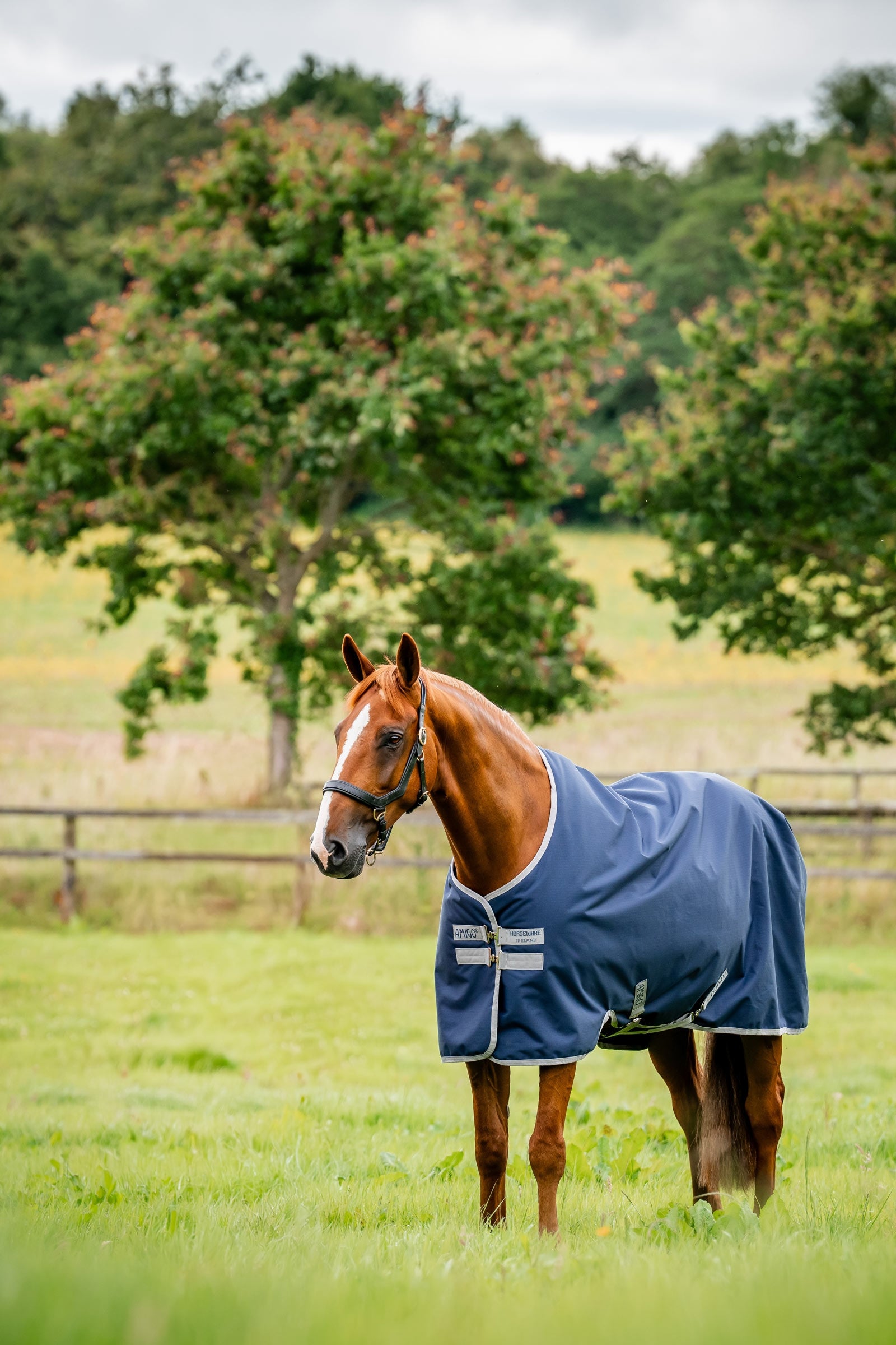 Horseware Amigo Ripstop 900D kültéri takaró, 200 g Lótakarók