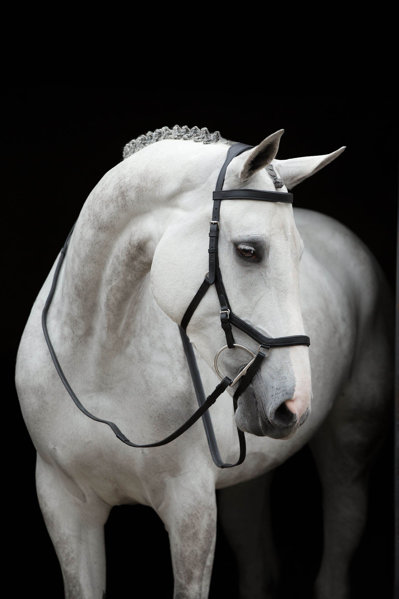 Horseware Rambo Micklem versenykantár Kantárok & Szárak