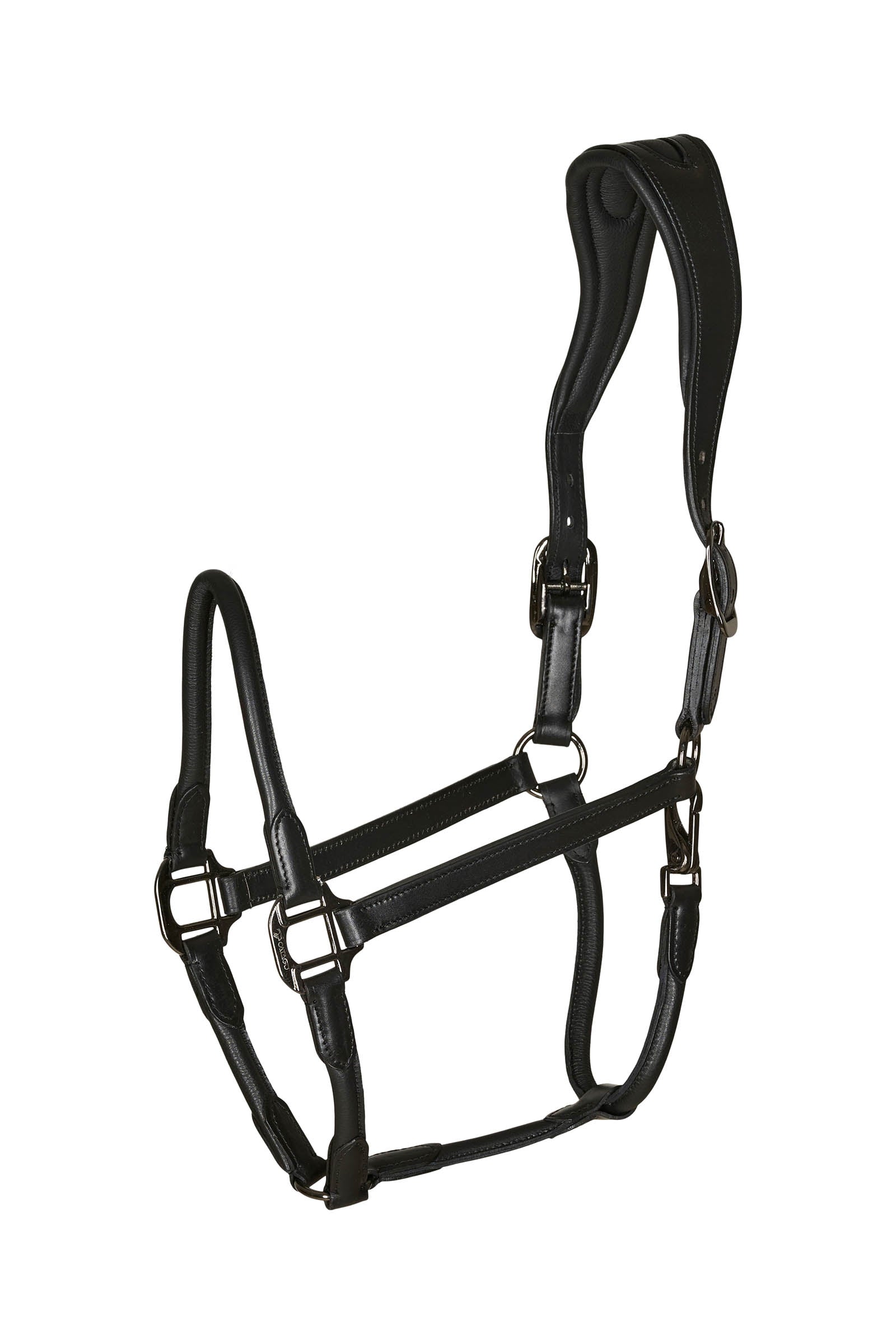 Catago leather halter with round-stitched noseband Kötofékek & Vezetoszárak