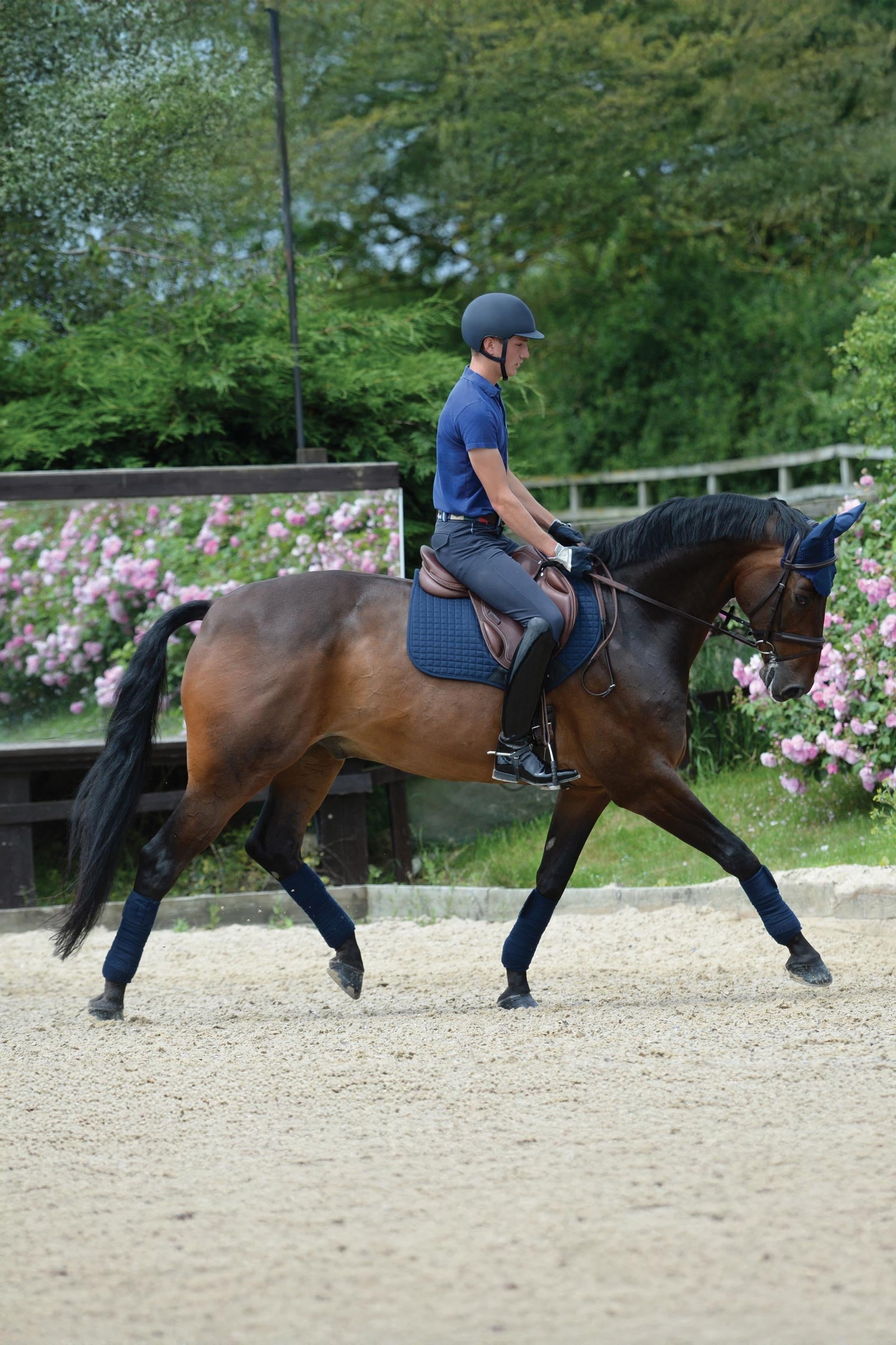 Weatherbeeta Prime Jumping Saddle Pad Saddle Pads