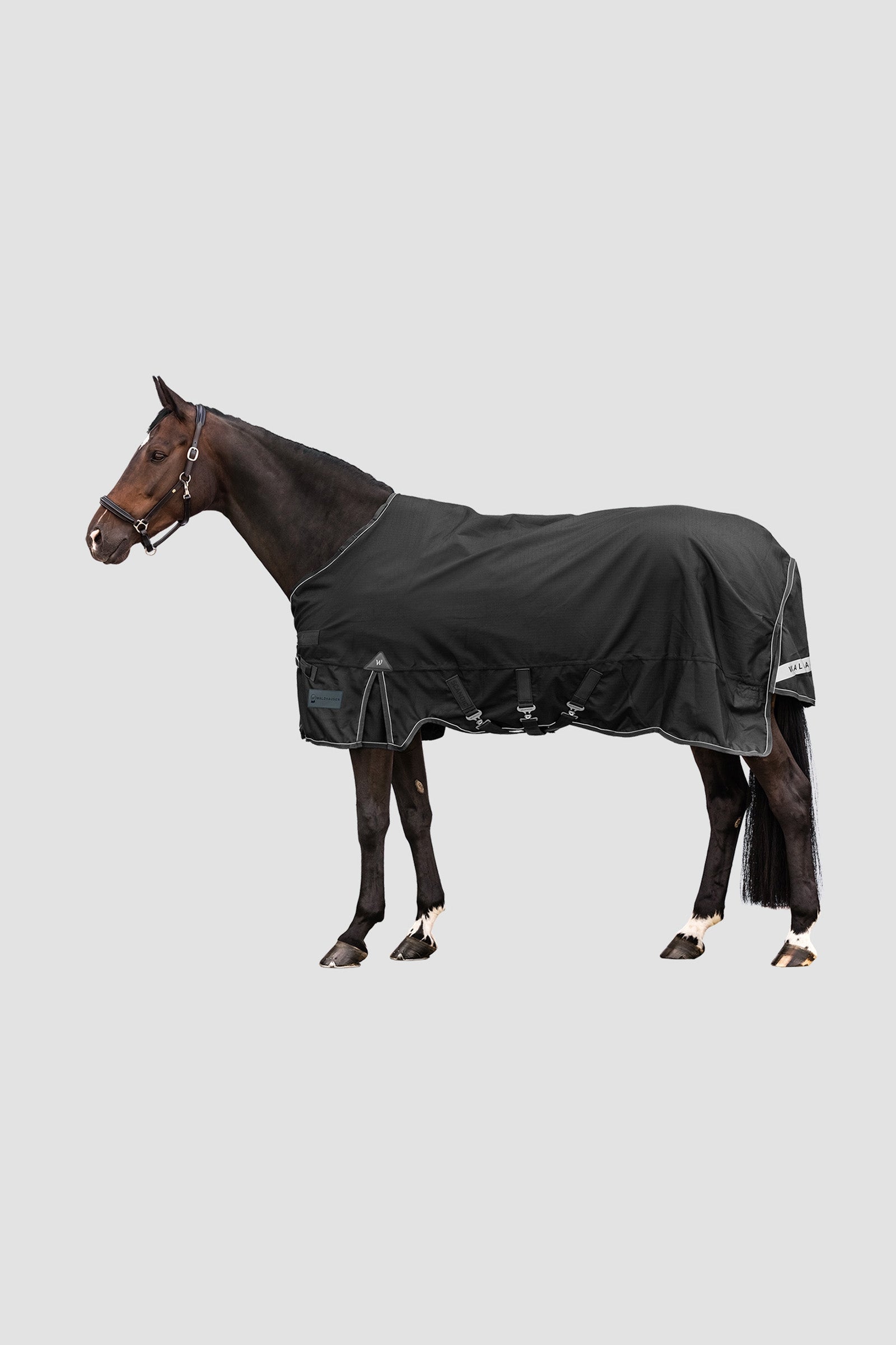Waldhausen Outdoor Rug Scandic Light Lótakarók