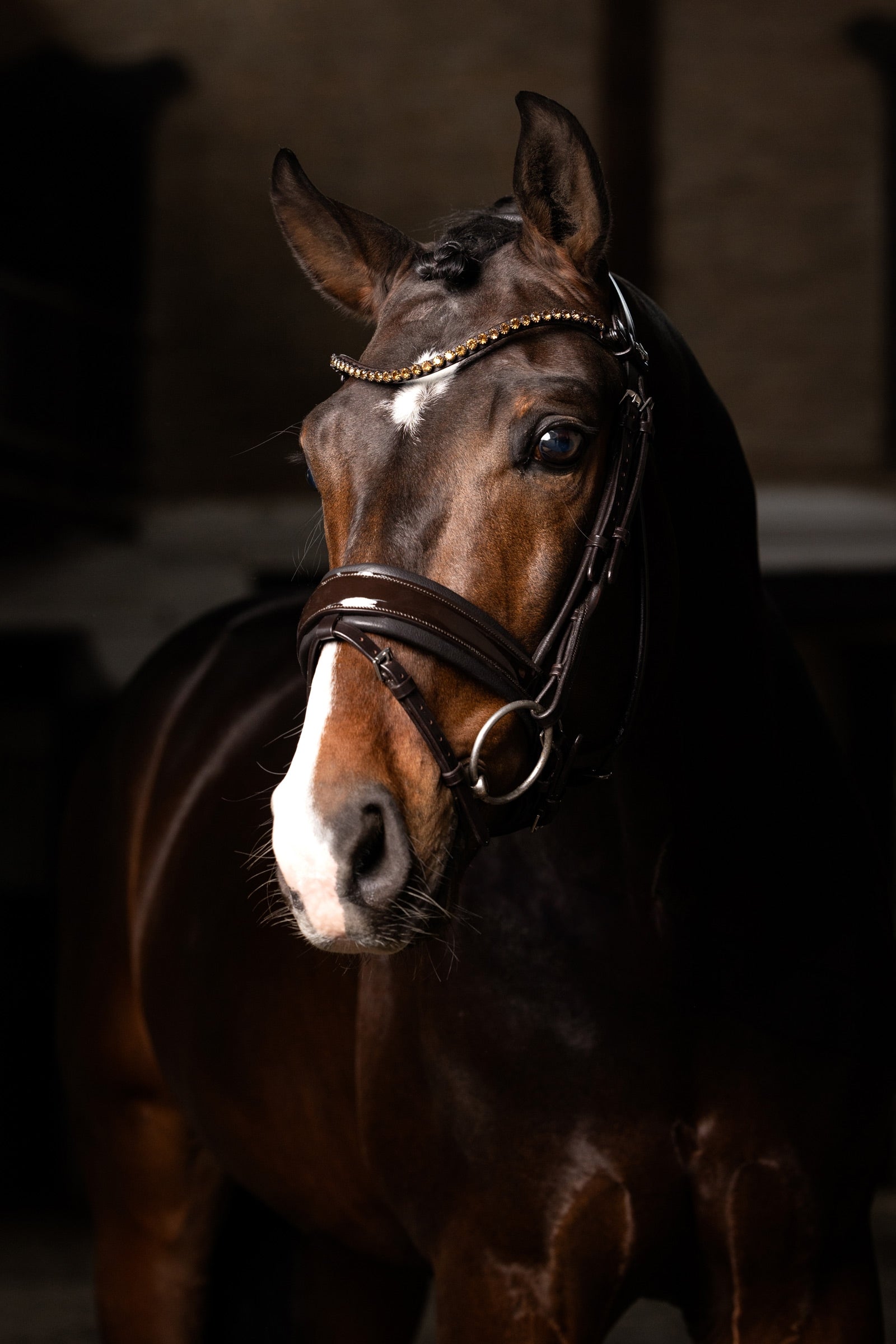 LeMieux Kudos Patent Dressage Bridle Bridles & Reins