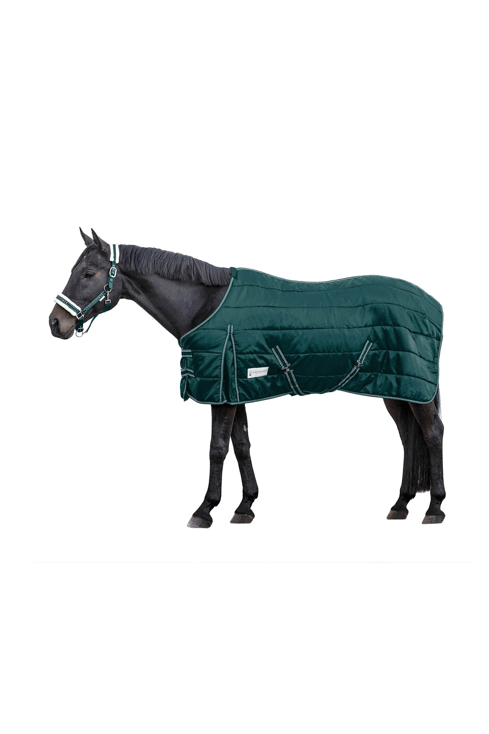 Waldhausen Stable rug Economic 200 g Lótakarók