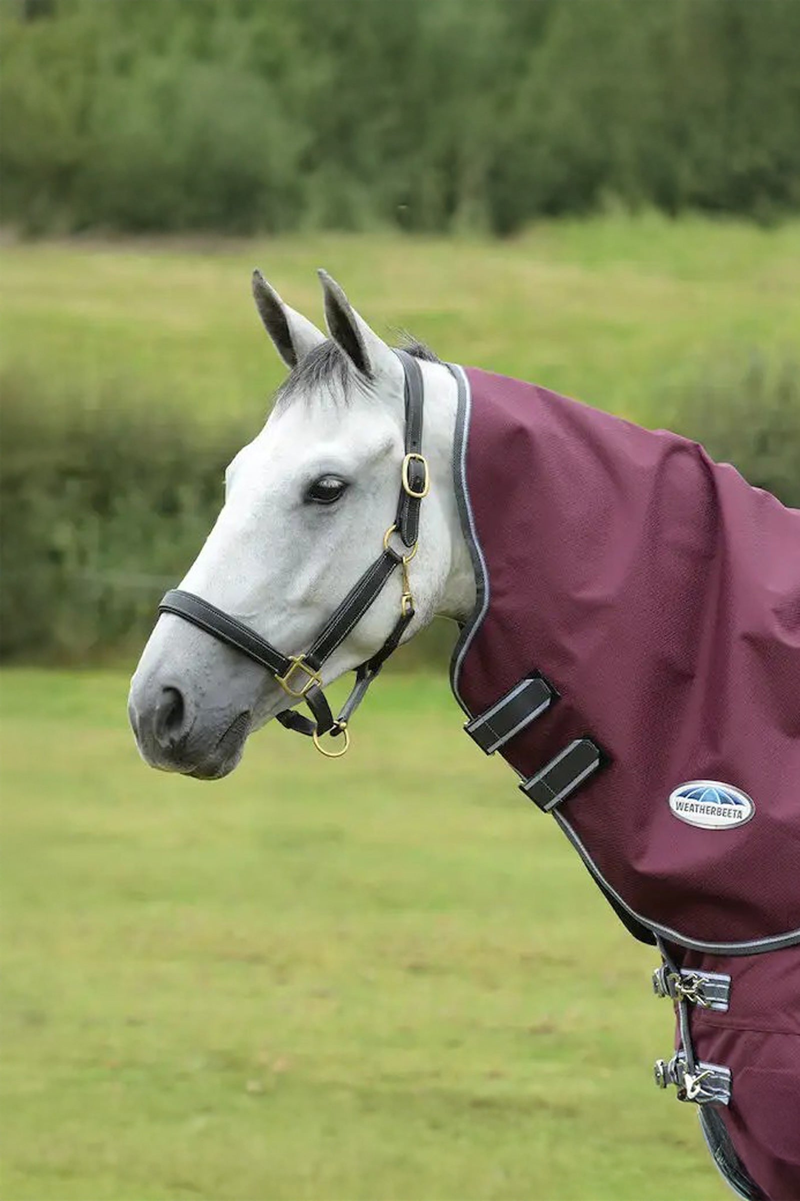 Weatherbeeta Comfitec Plus Dynamic II Medium/Lite Neck Piece, 100g Horse Rugs