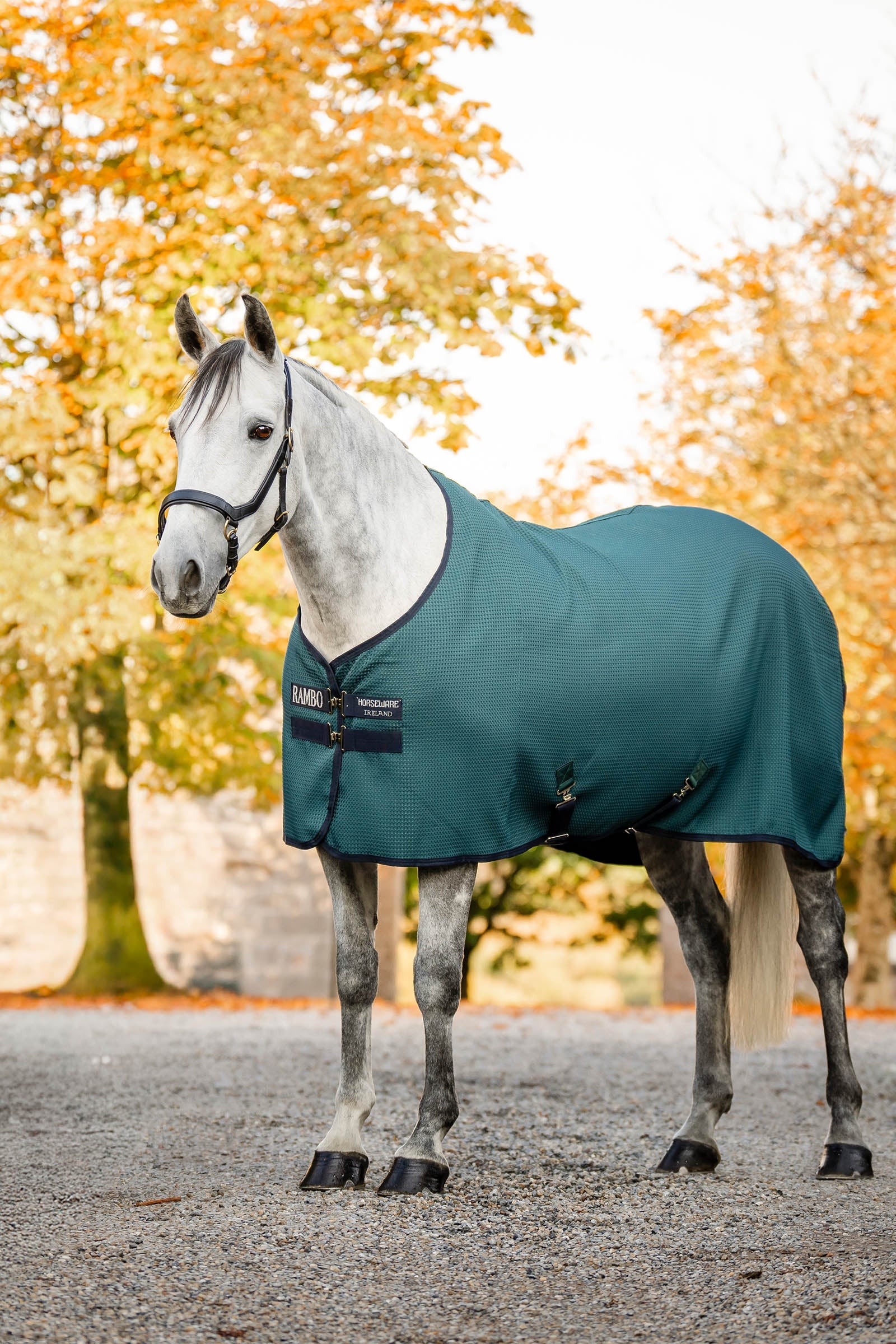 Horseware Rambo Techni Waffle leszárító takaró Lótakarók