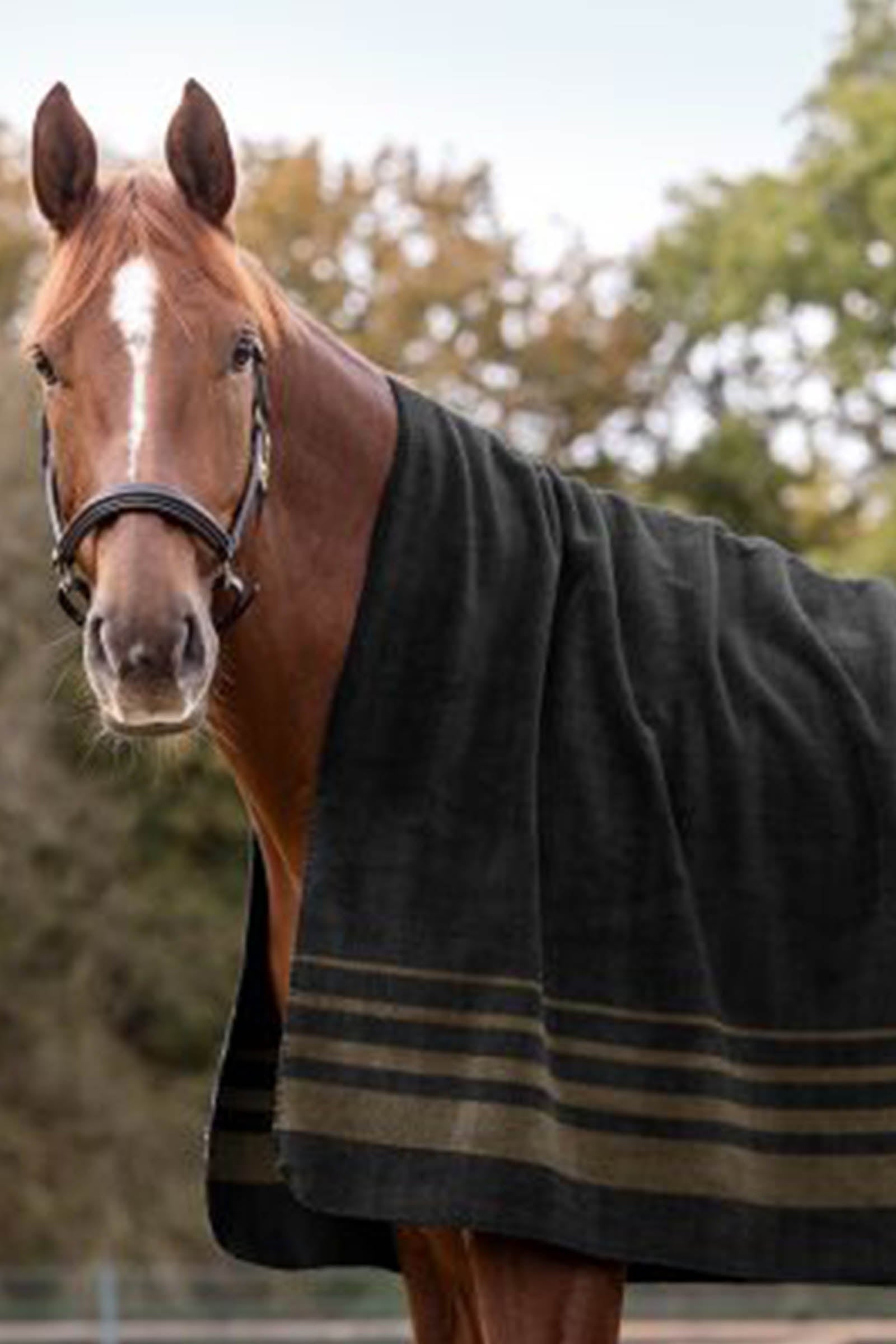 Waldhausen Sölden Fleece Rug Horse Rugs