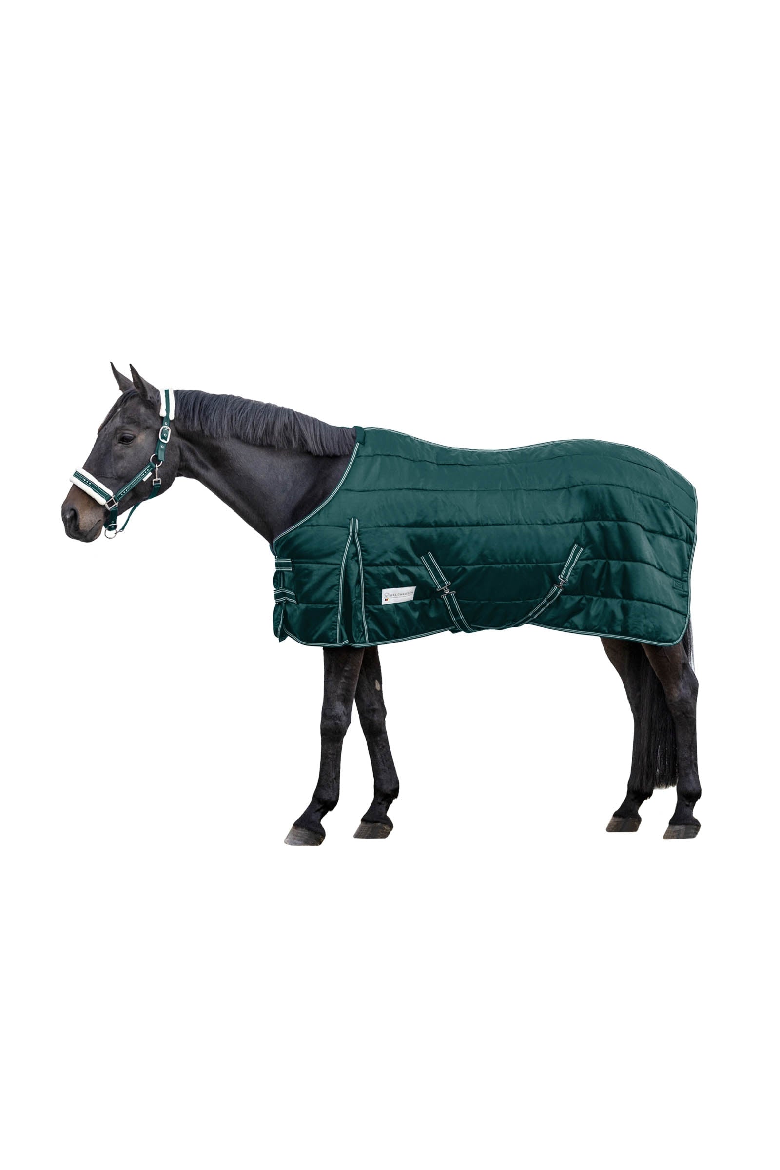 Waldhausen Stable Rug Economic 100 g Lótakarók