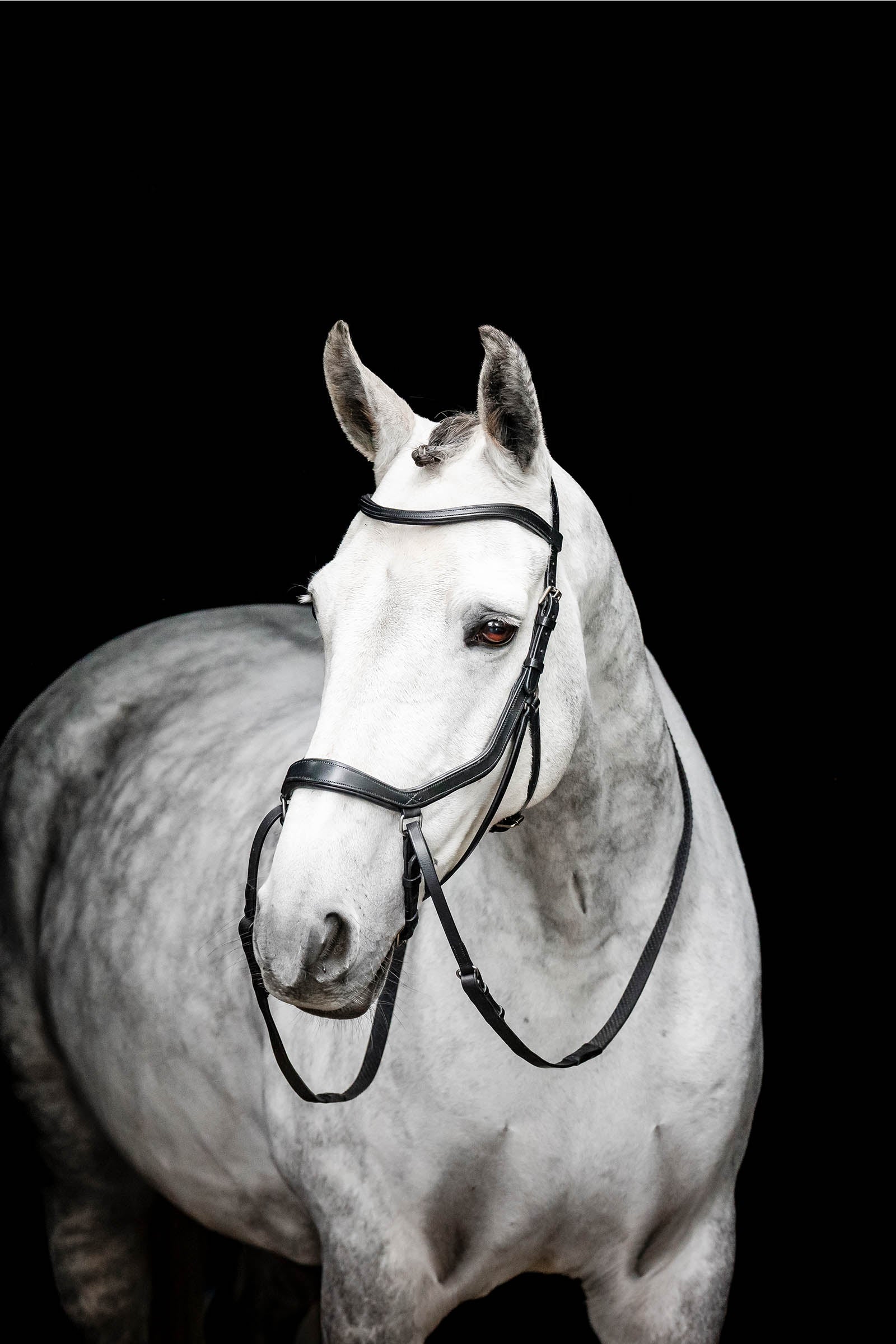 Horseware Micklem zabla nélküli kantár Kantárok & Szárak