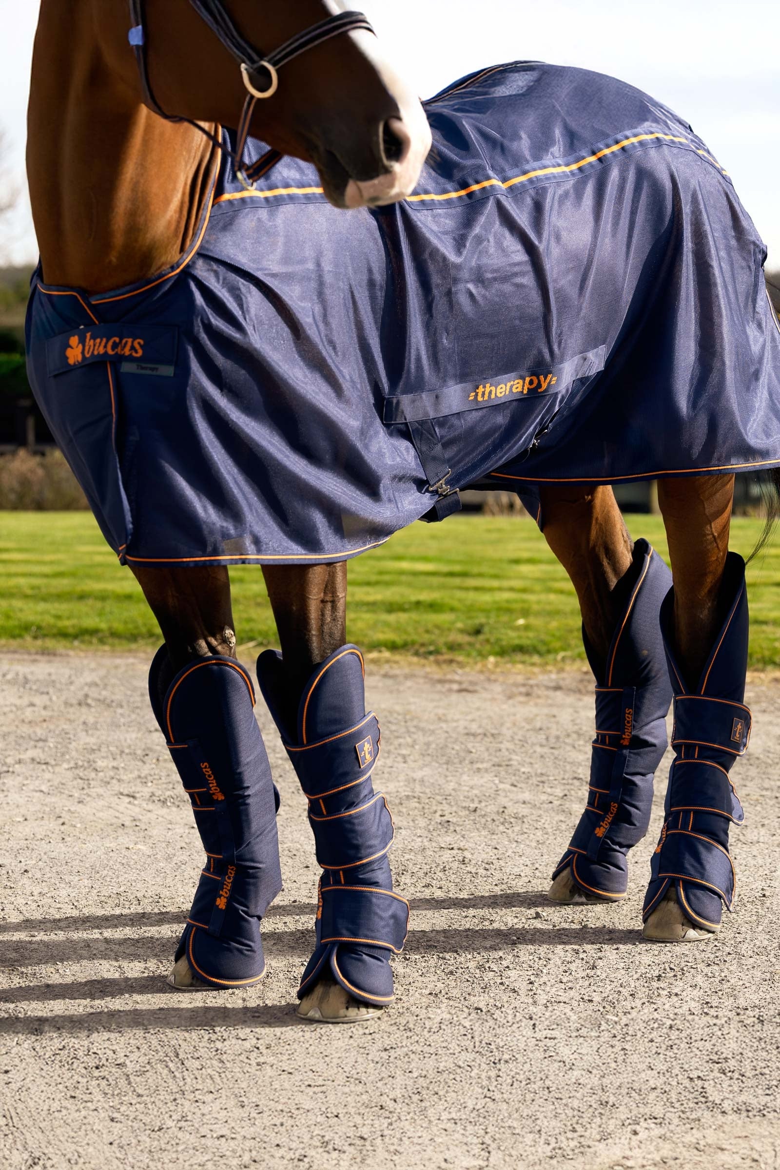 Bucas Therapy Travel Boots (Set of 4) Leg Protection & Hoof Protection for Horses